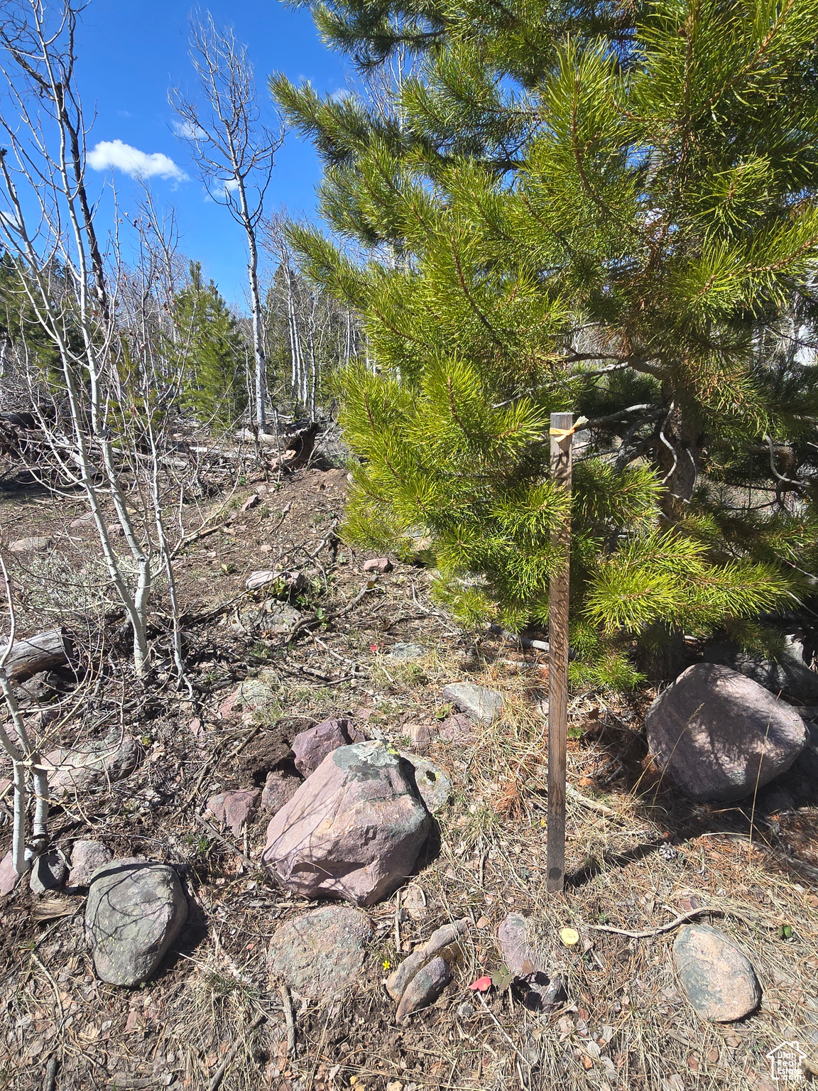 PINE PLATEAU ESTATES NO. 3 SUB. - Land