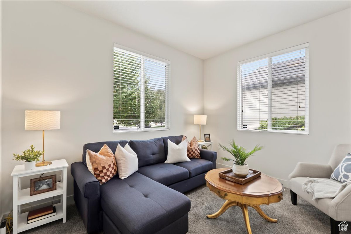 PINEAE VILLAGE P U D - Residential