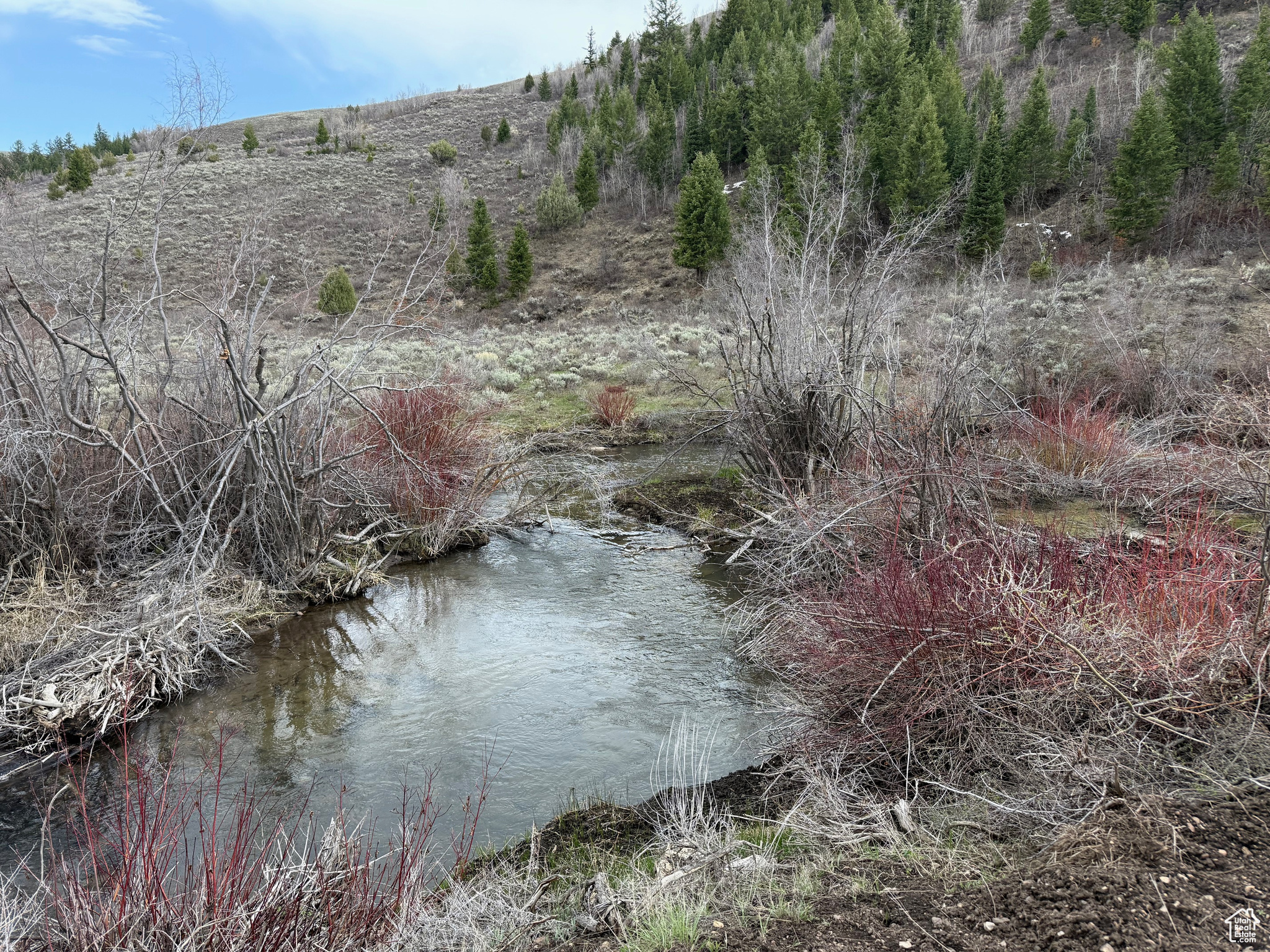 BLOOMINGTON HOLLOW RANCHS - Land