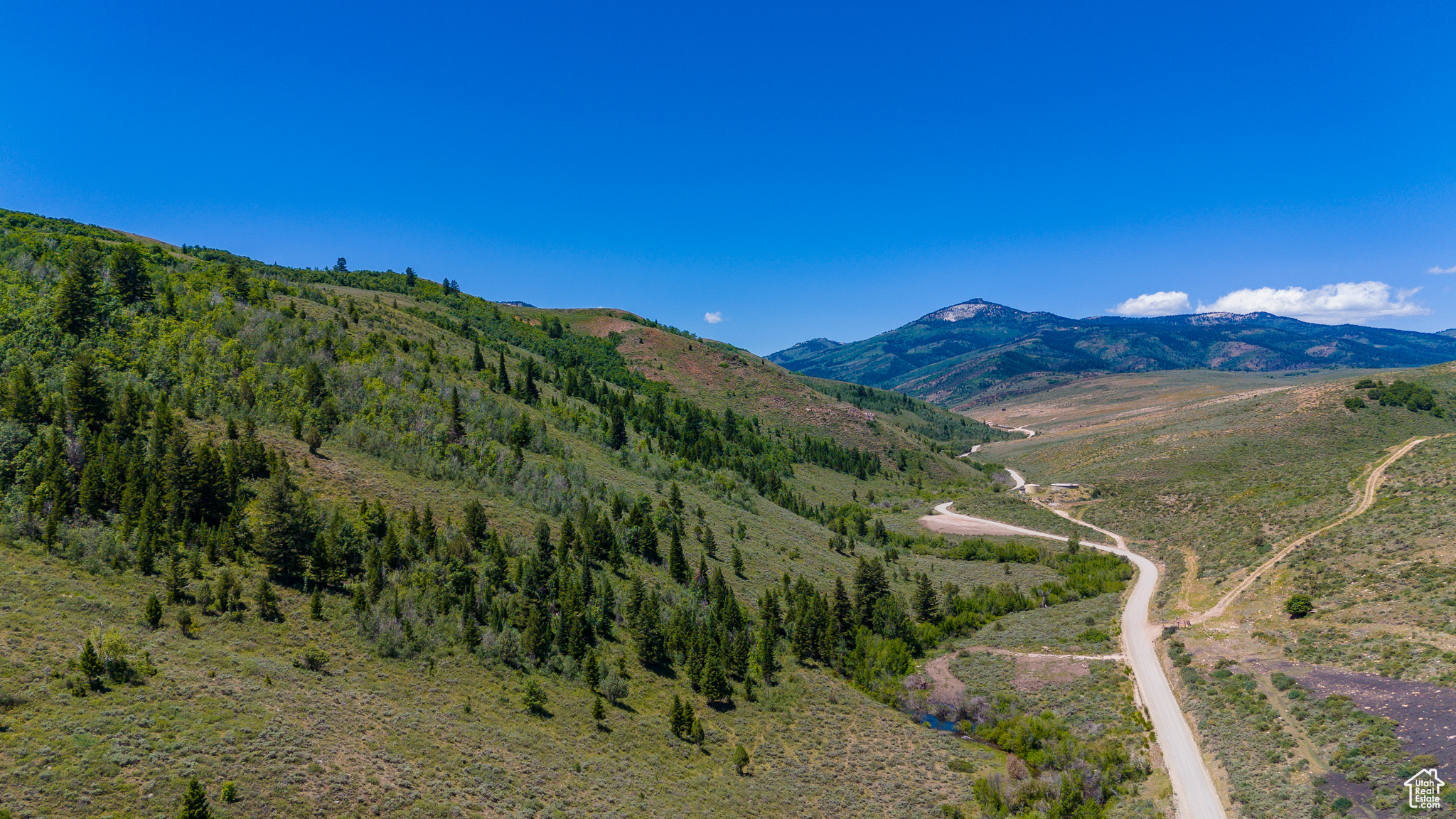 BLOOMINGTON HOLLOW RANCHS - Land
