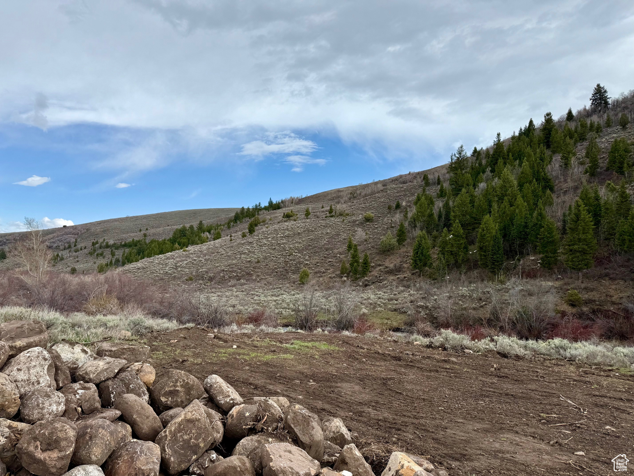 BLOOMINGTON HOLLOW RANCHS - Land