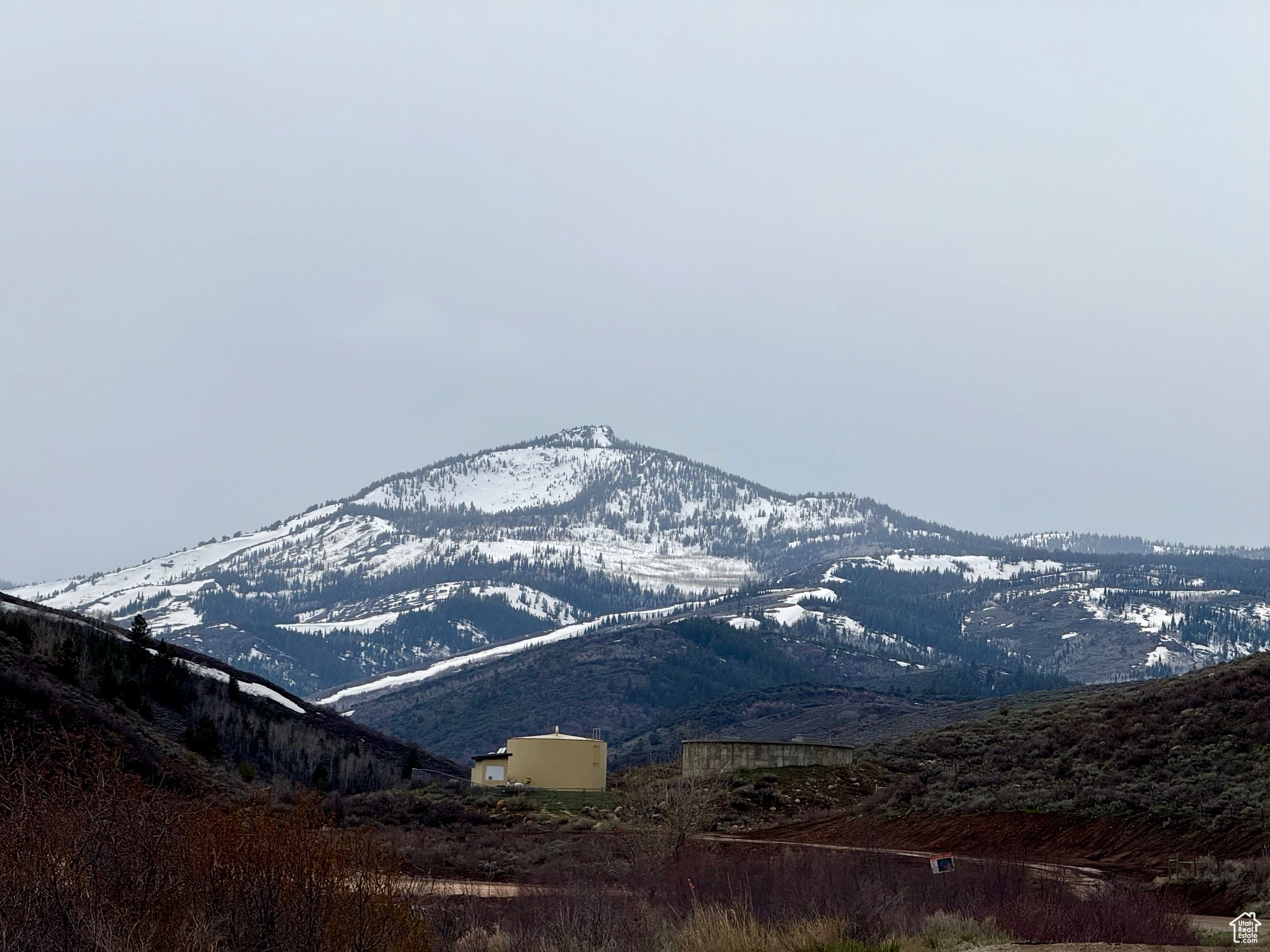 BLOOMINGTON HOLLOW RANCHS - Land