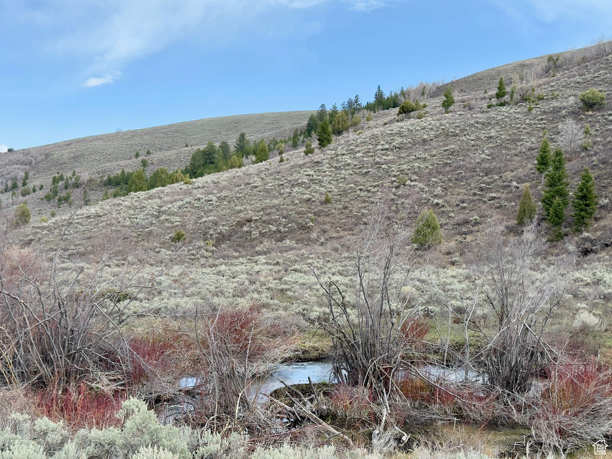 BLOOMINGTON HOLLOW RANCHS - Land