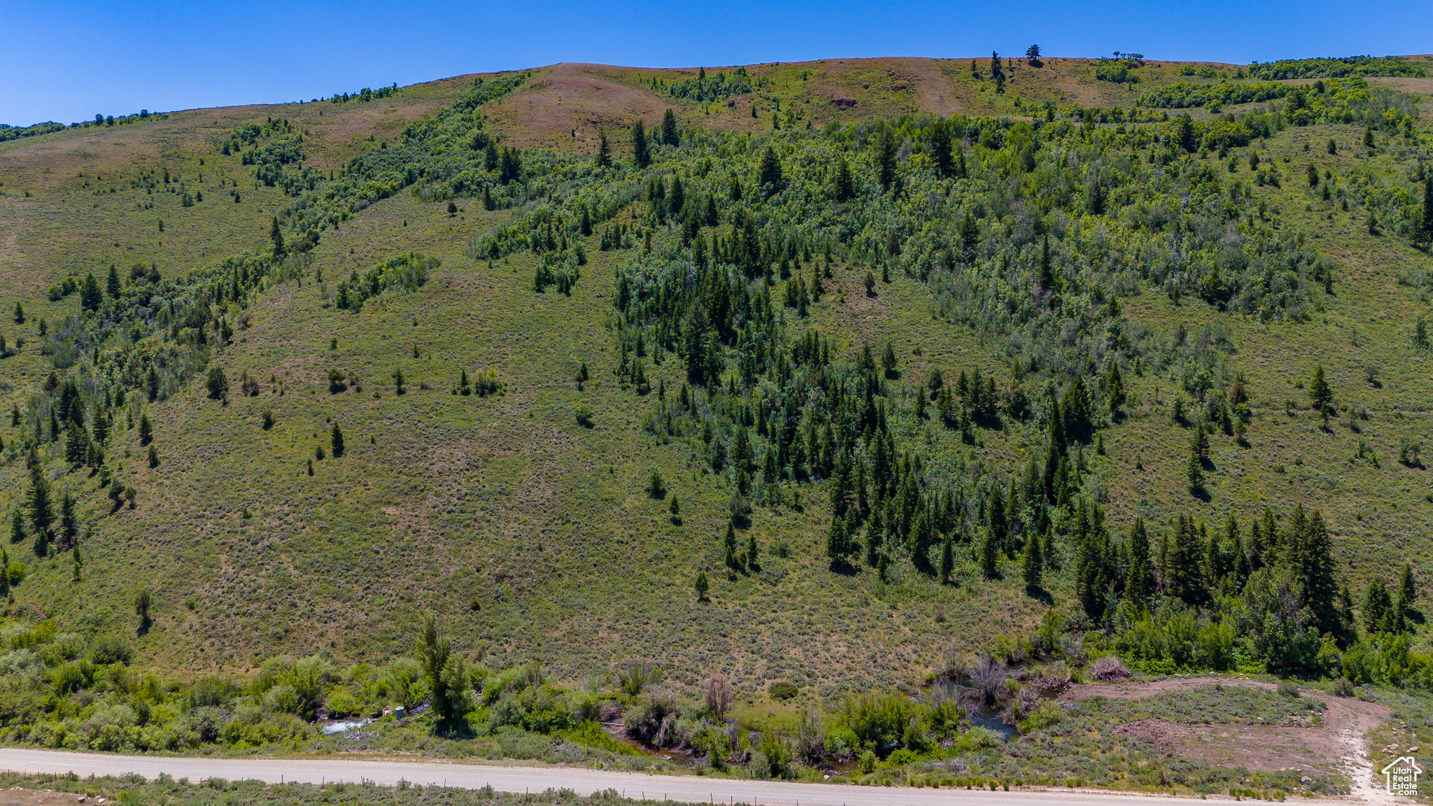BLOOMINGTON HOLLOW RANCHS - Land