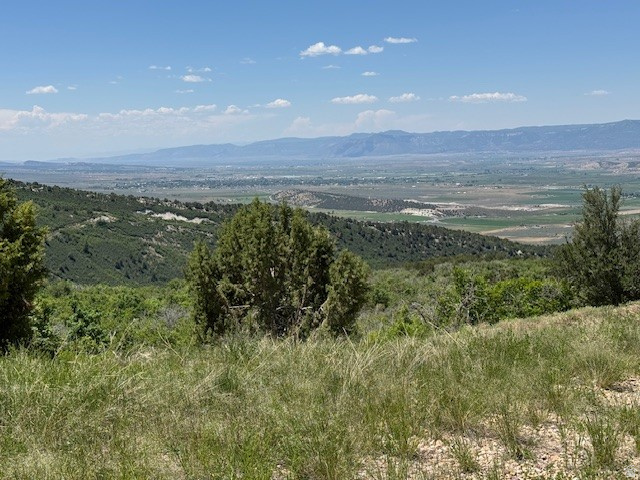 SKYLINE HEIGHTS - Residential
