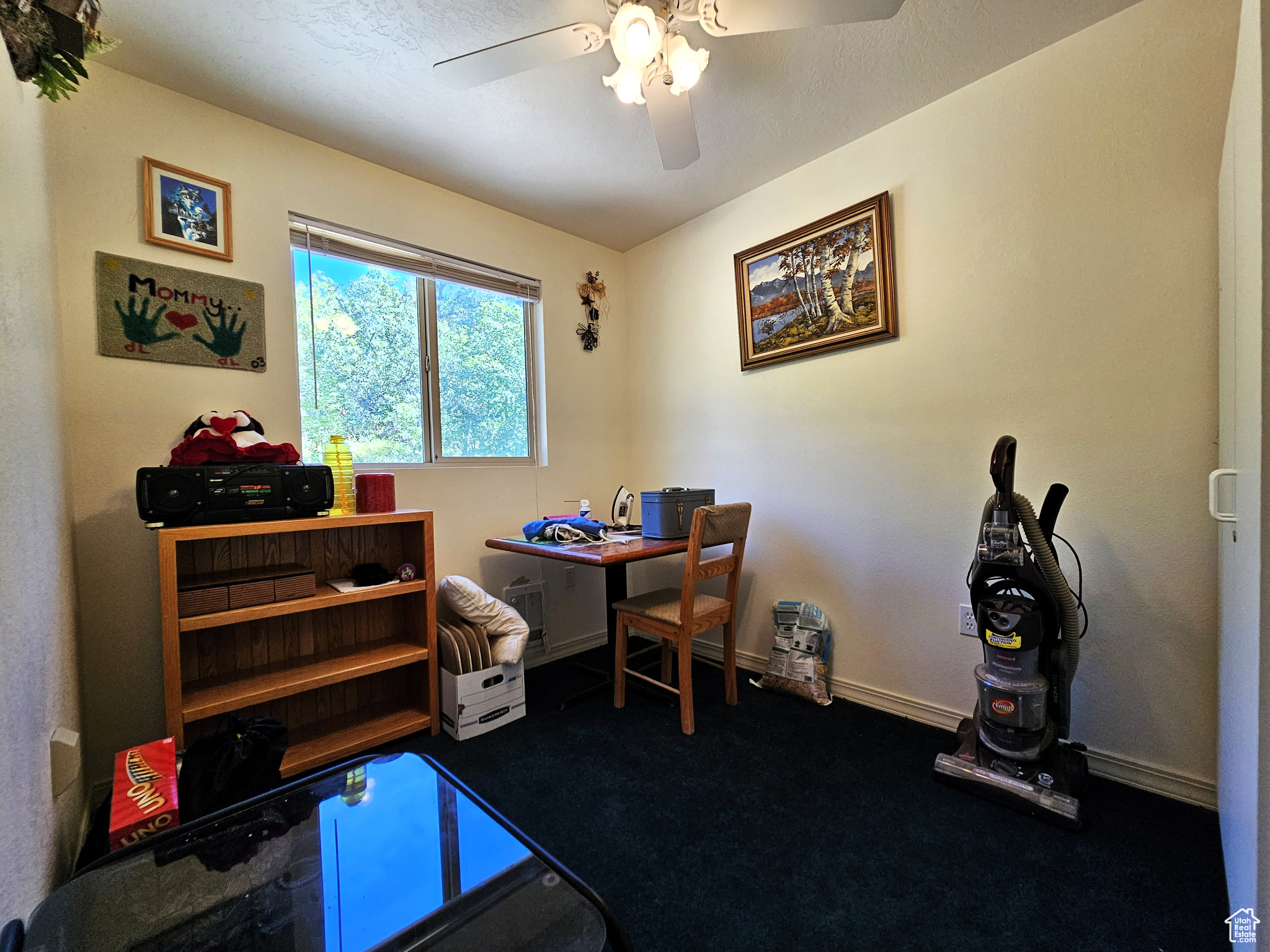 SKYLINE MOUNTAIN RESORT - Land