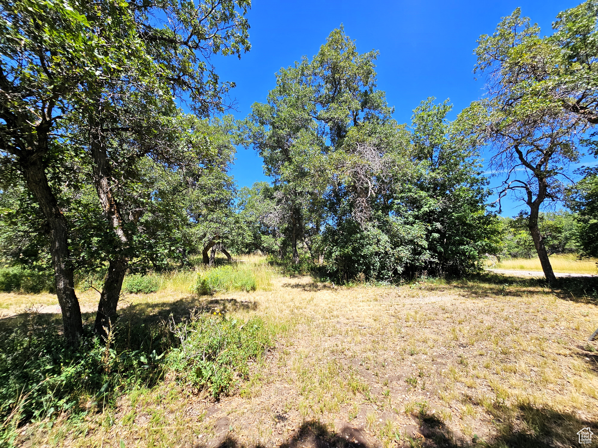 SKYLINE MOUNTAIN RESORT - Land