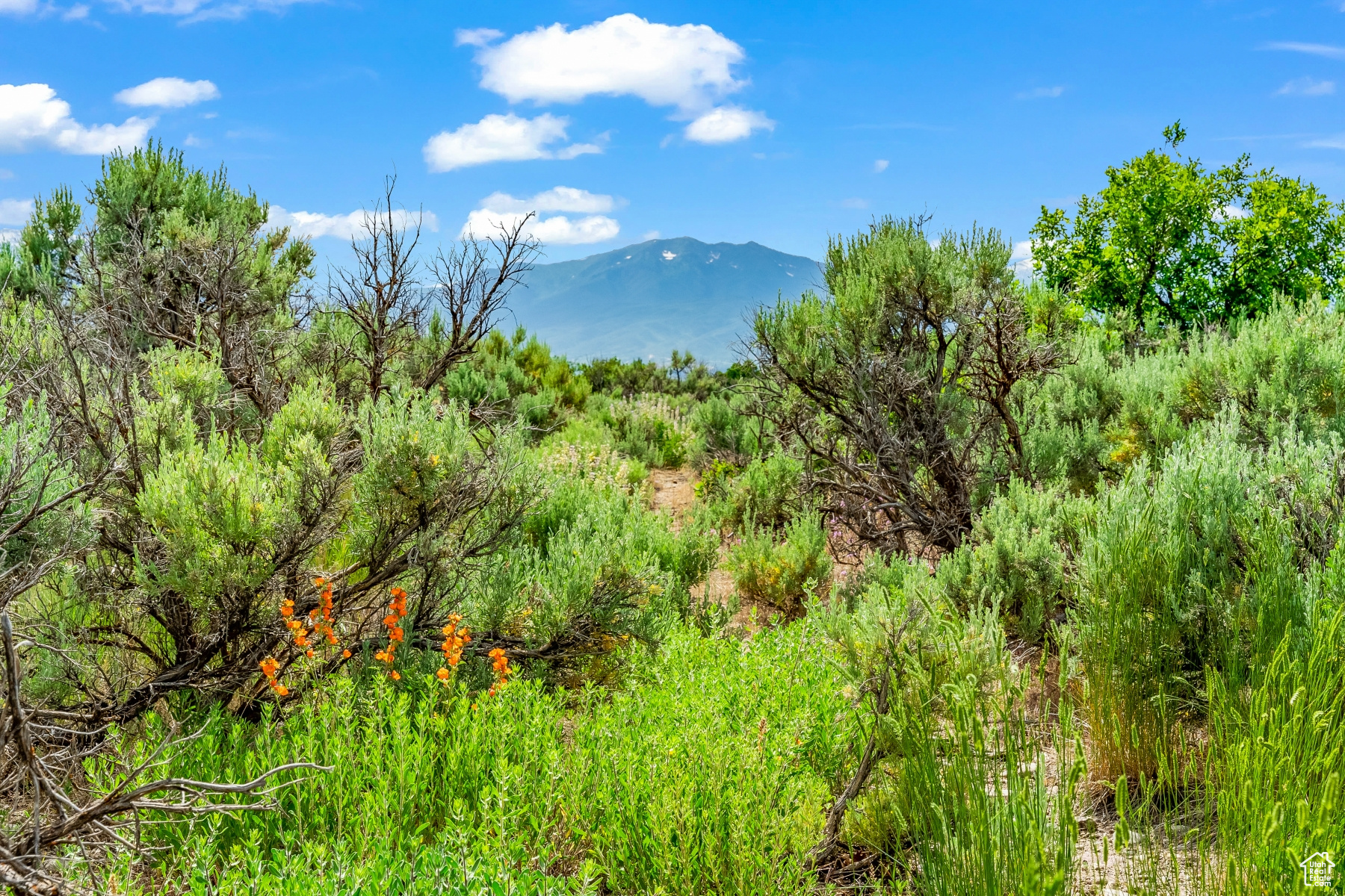 10 S Skyline View Dr #10, Heber City, Utah image 11