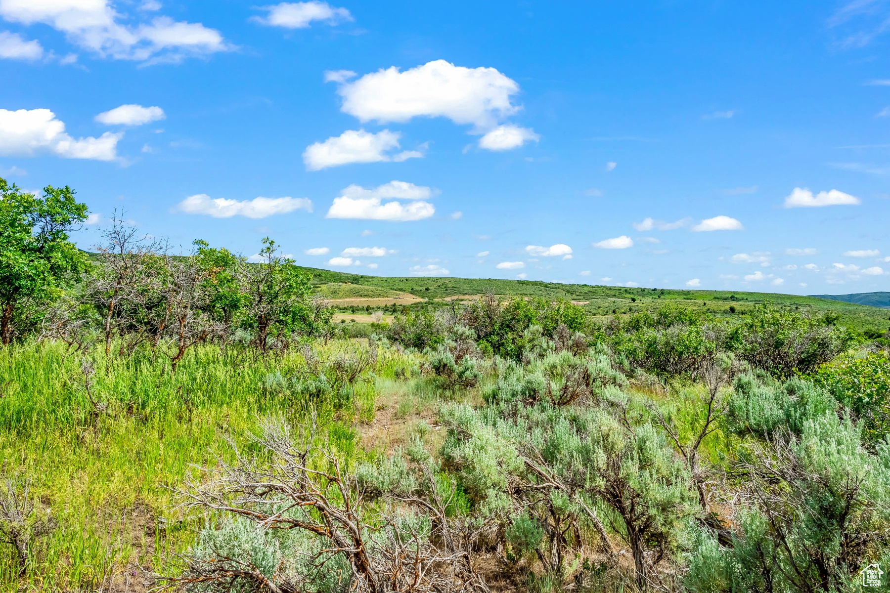 10 S Skyline View Dr #10, Heber City, Utah image 7