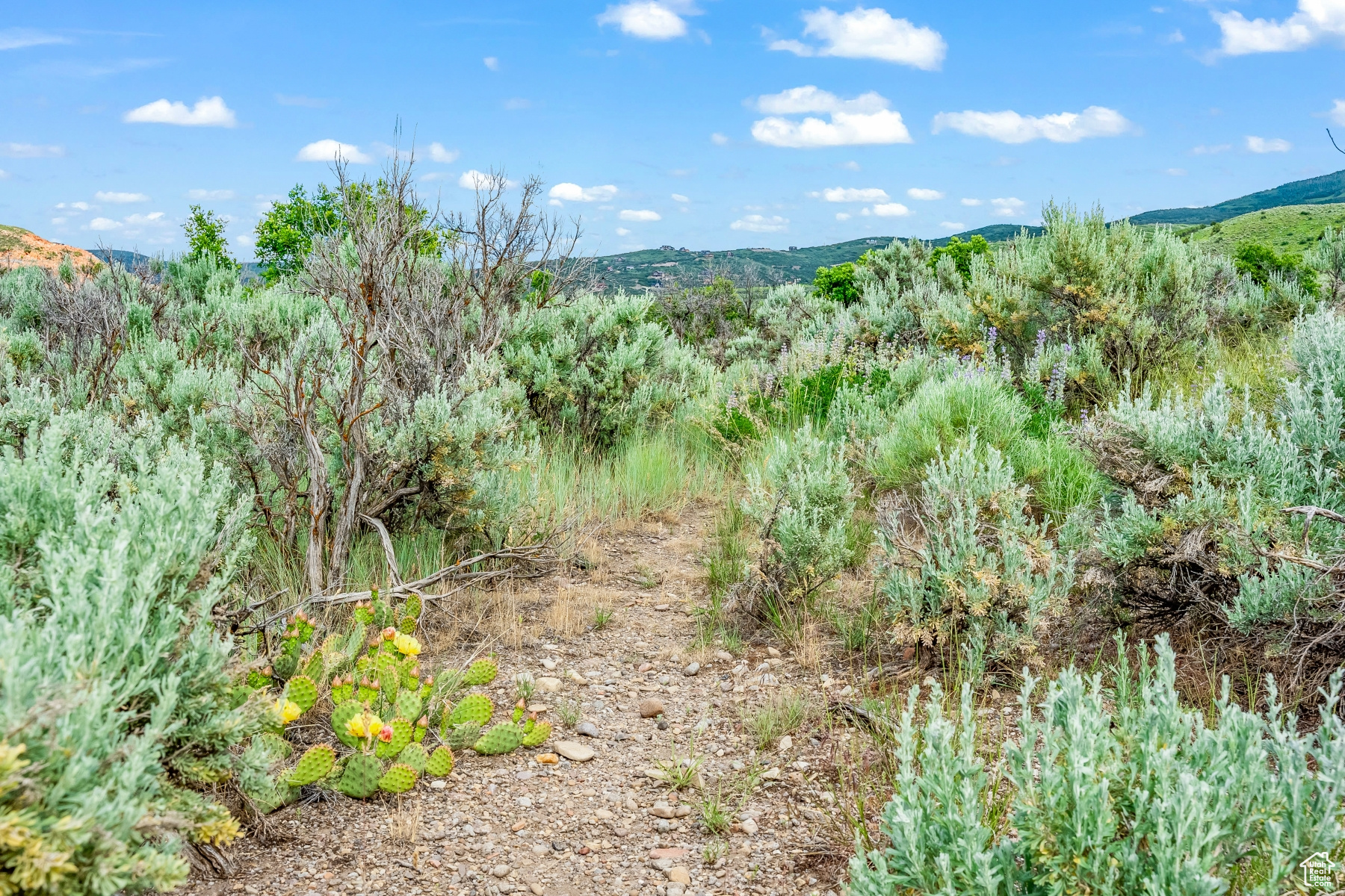 10 S Skyline View Dr #10, Heber City, Utah image 13