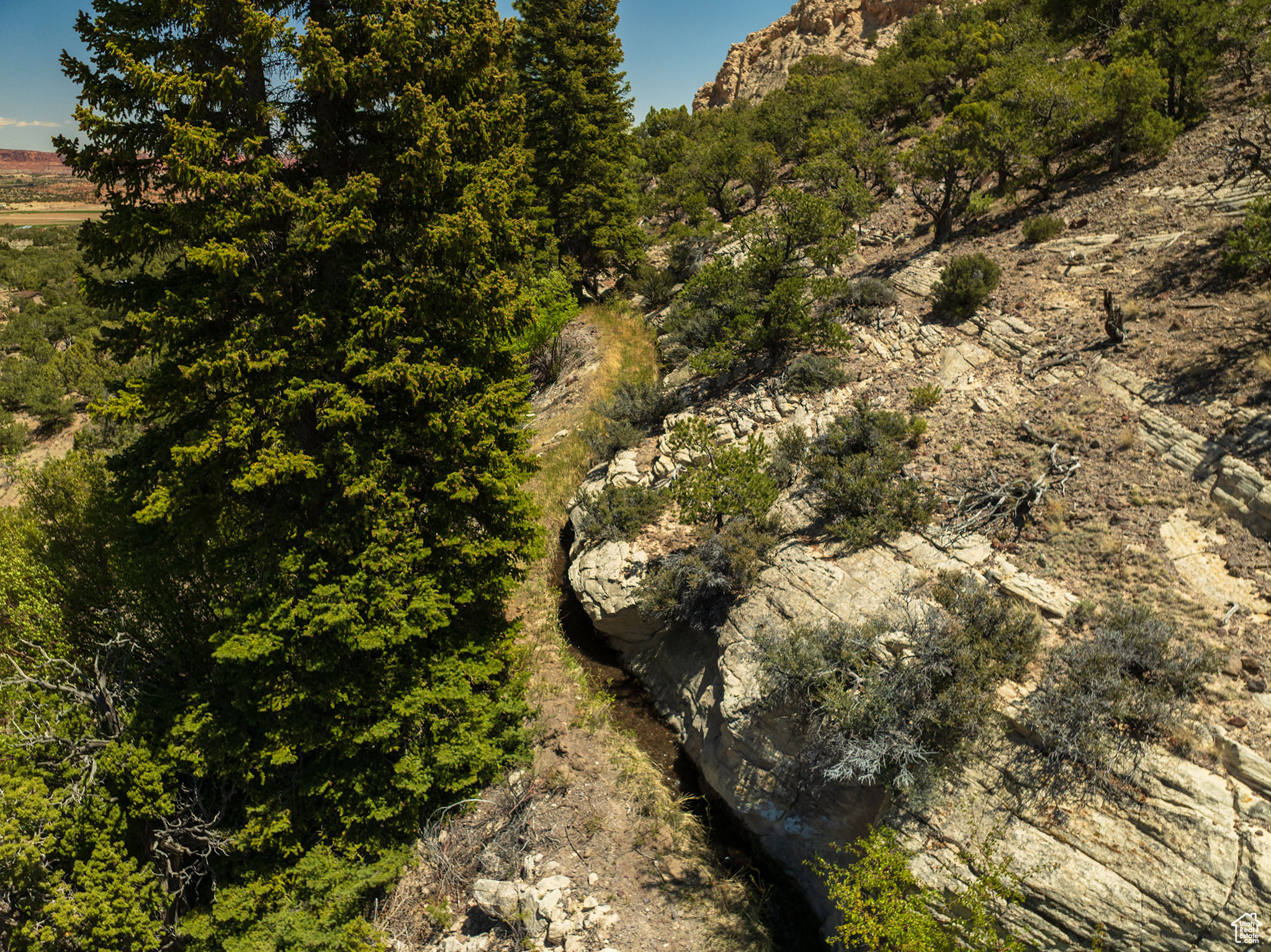 COCKCOMB COVE SUBDIVISION - Residential