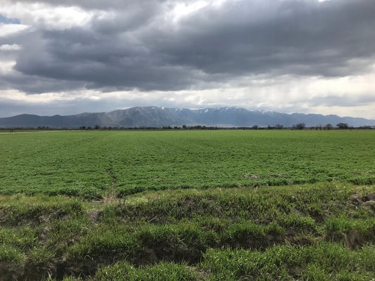10030 W 10400 N, TREMONTON, UT 84337 - Image b26f3cebea2a5c591f341c9ff088f2ce/3100996733
