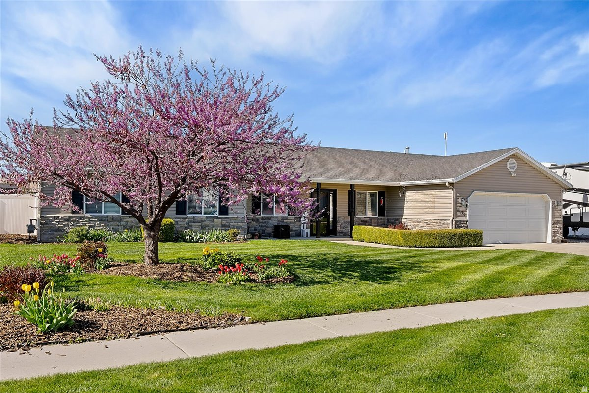 COUNTRY MEADOW EST - Residential