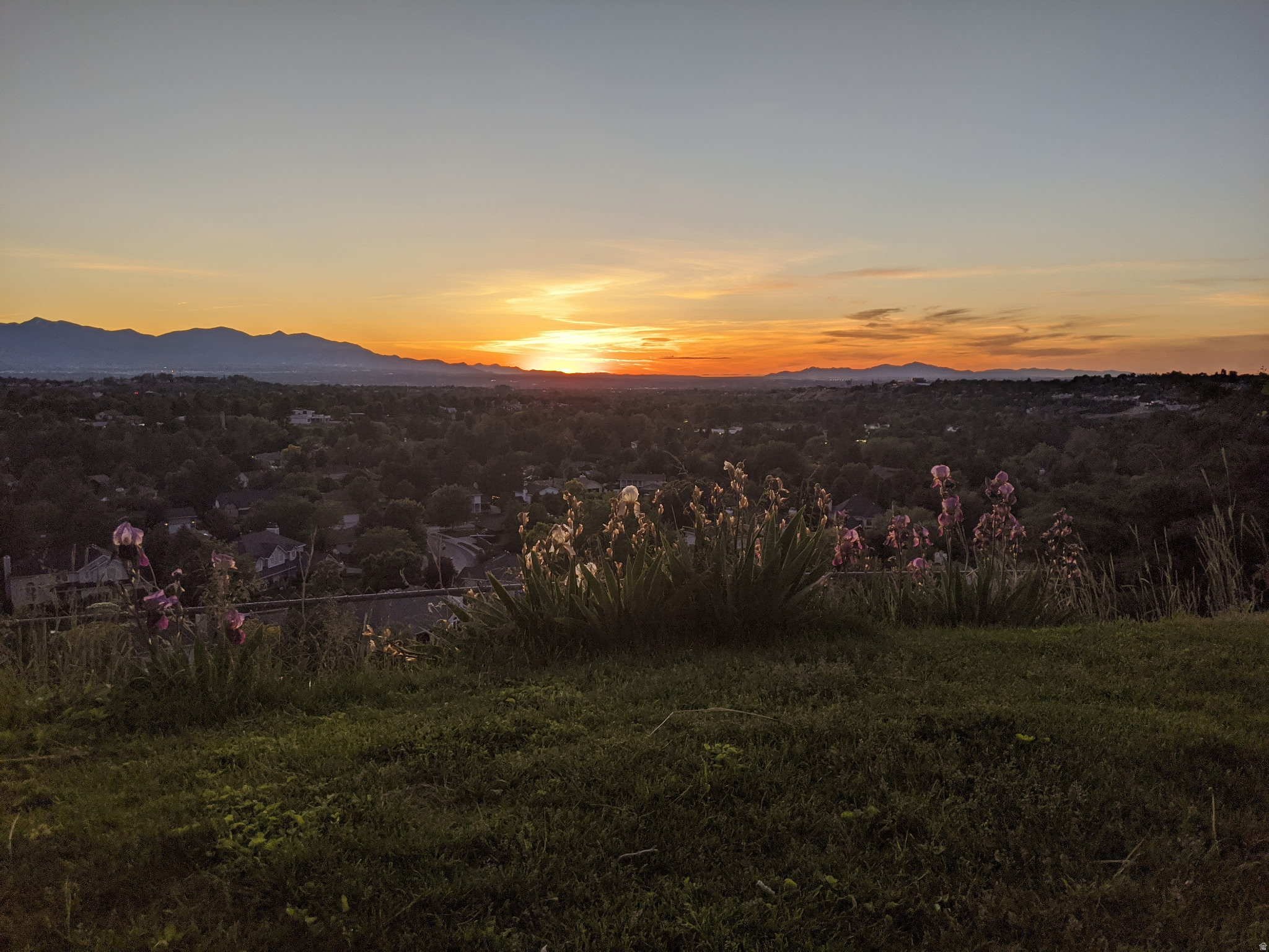 ALTA HILLS - Residential