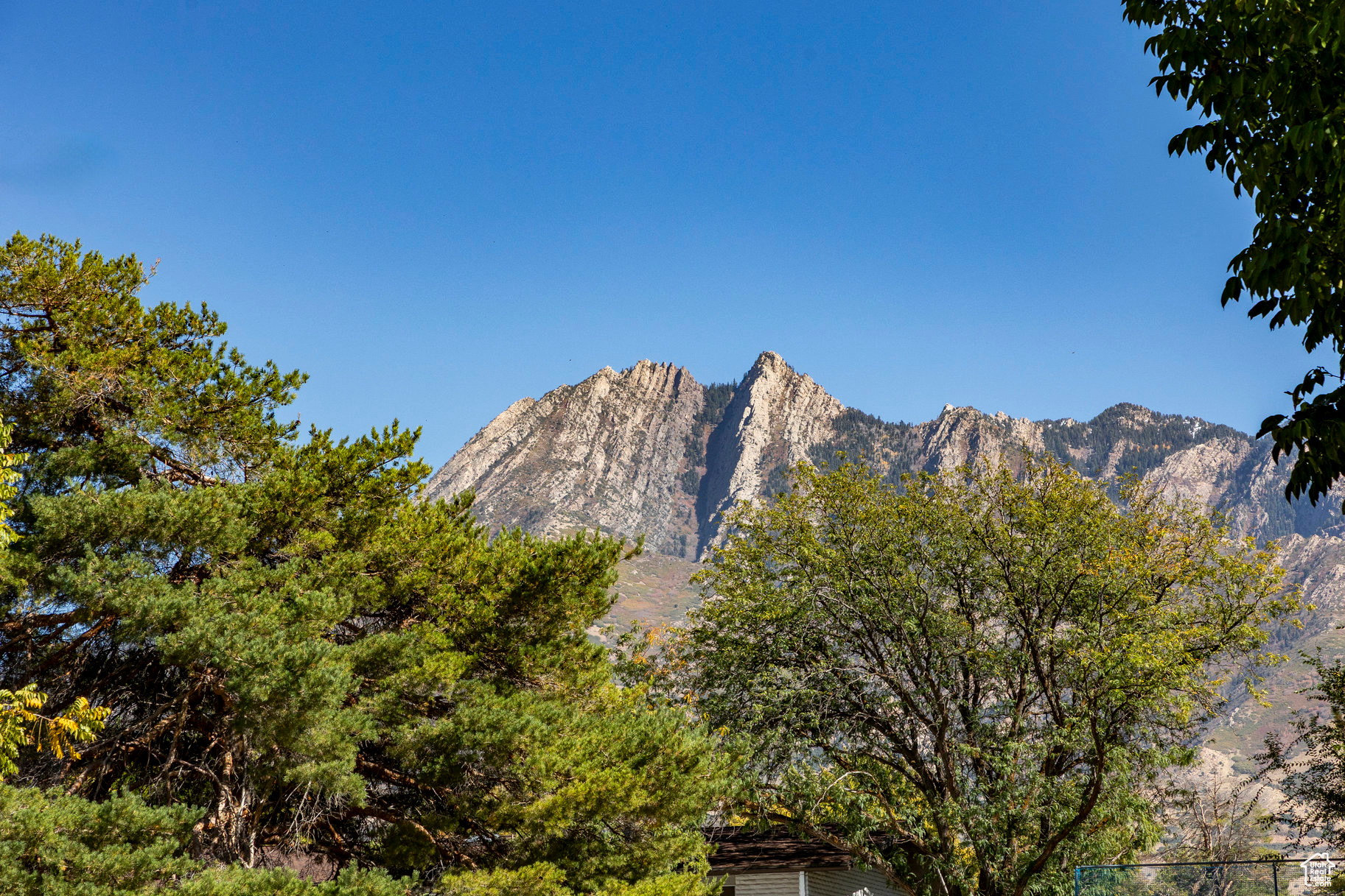 OLYMPUS VIEW SUB - Residential