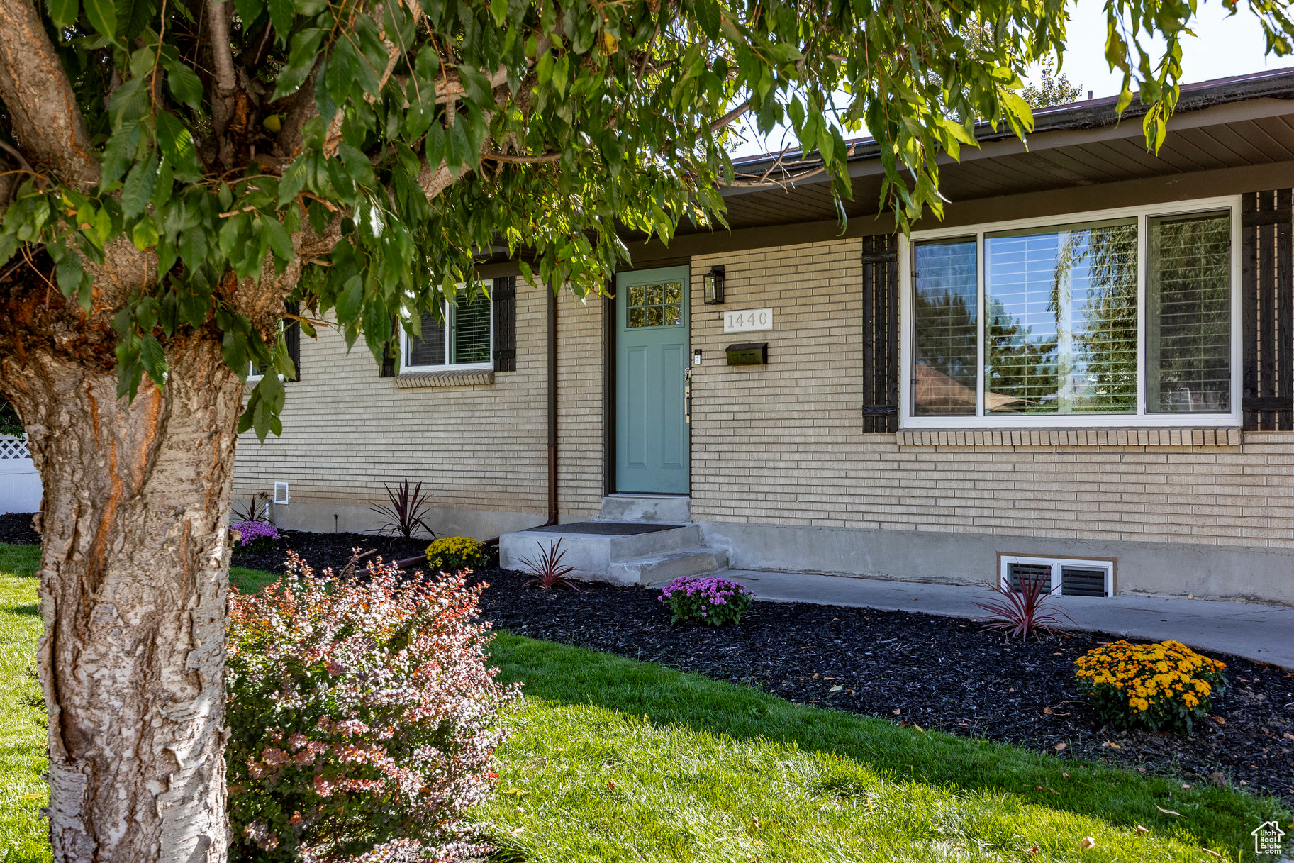 OLYMPUS VIEW SUB - Residential