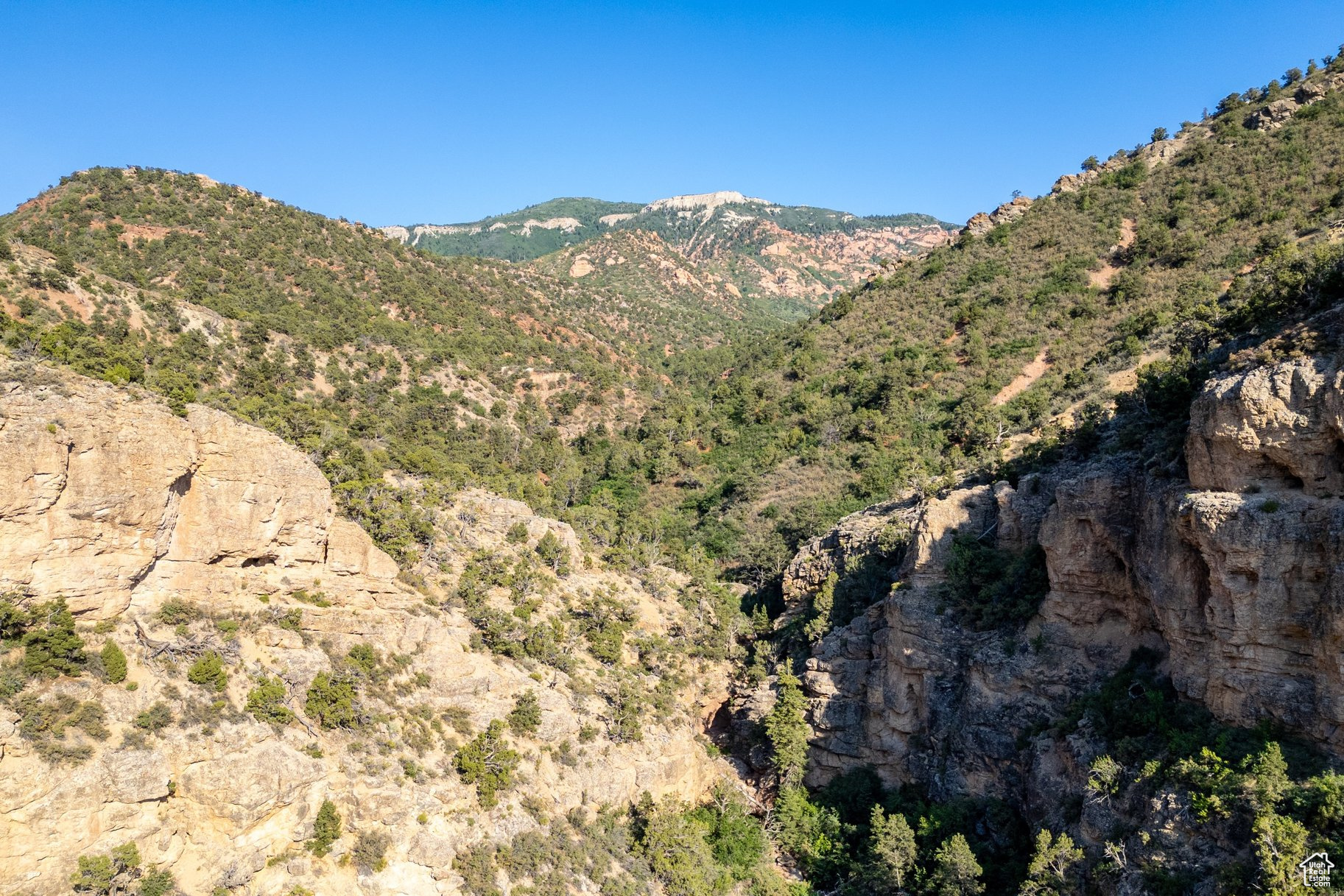 CHEKSHANI CLIFFS - Land