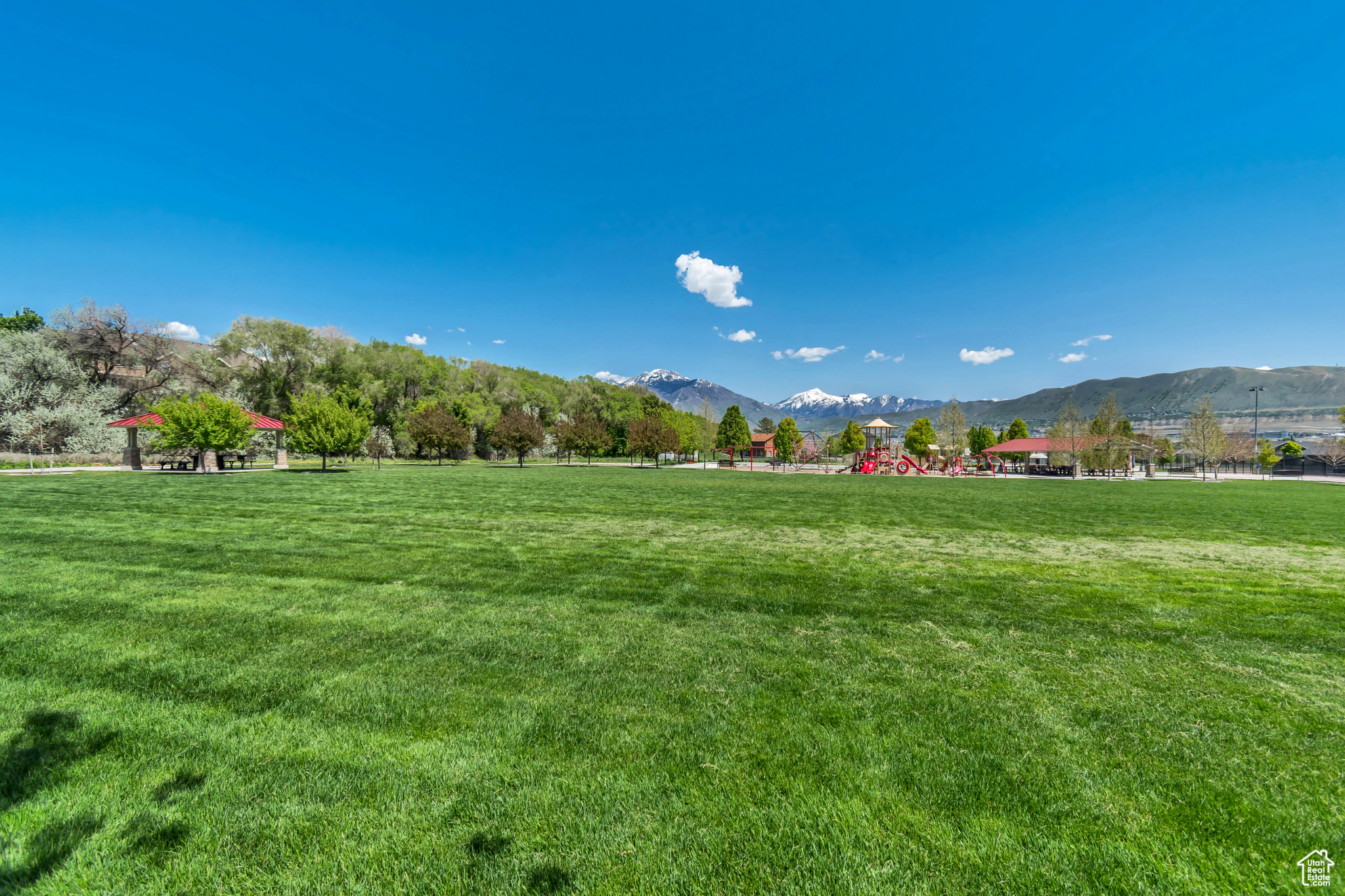 VINTAGE ON THE BLUFF - Residential