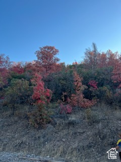 1200 S South Pole Canyon Road Rd, Santaquin, Utah image 2