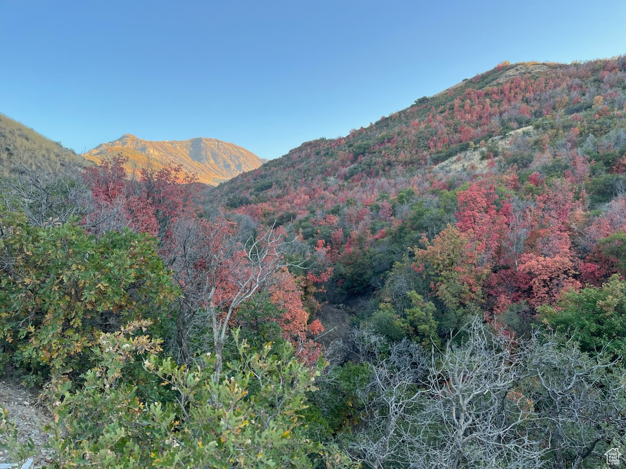 1200 S South Pole Canyon Road Rd, Santaquin, Utah image 1