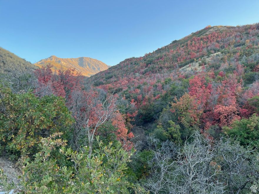 21.77 acre ranch with varied elevation and panoramic views of the mountains, valley, and lake. Secluded yet close to all. Location for your rustic retreat. Amazing development possibilities. The location you will love. Next to the beautiful historic Theodore Ahlin Park with family fun facilities including fishing pond, fish cleaning station, disc golf, restroom, and a path around the pond and more to come. Make your dreams come true with your private retreat or development.