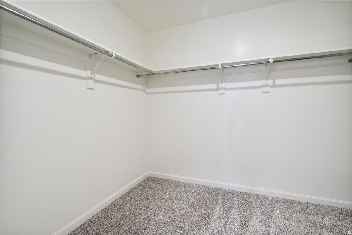 WANDER - Residential