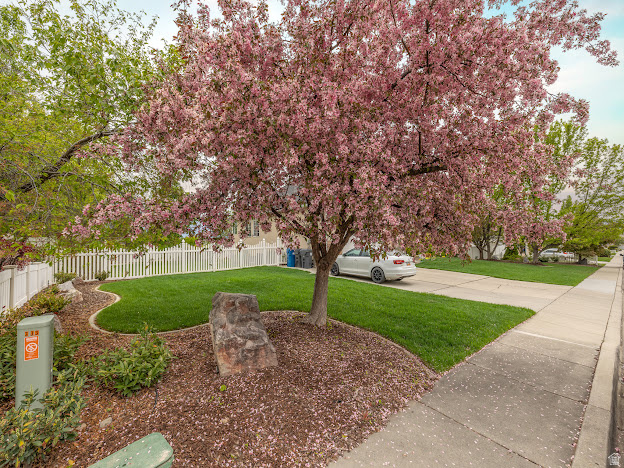 CAMBRIDGE FARMS - Residential