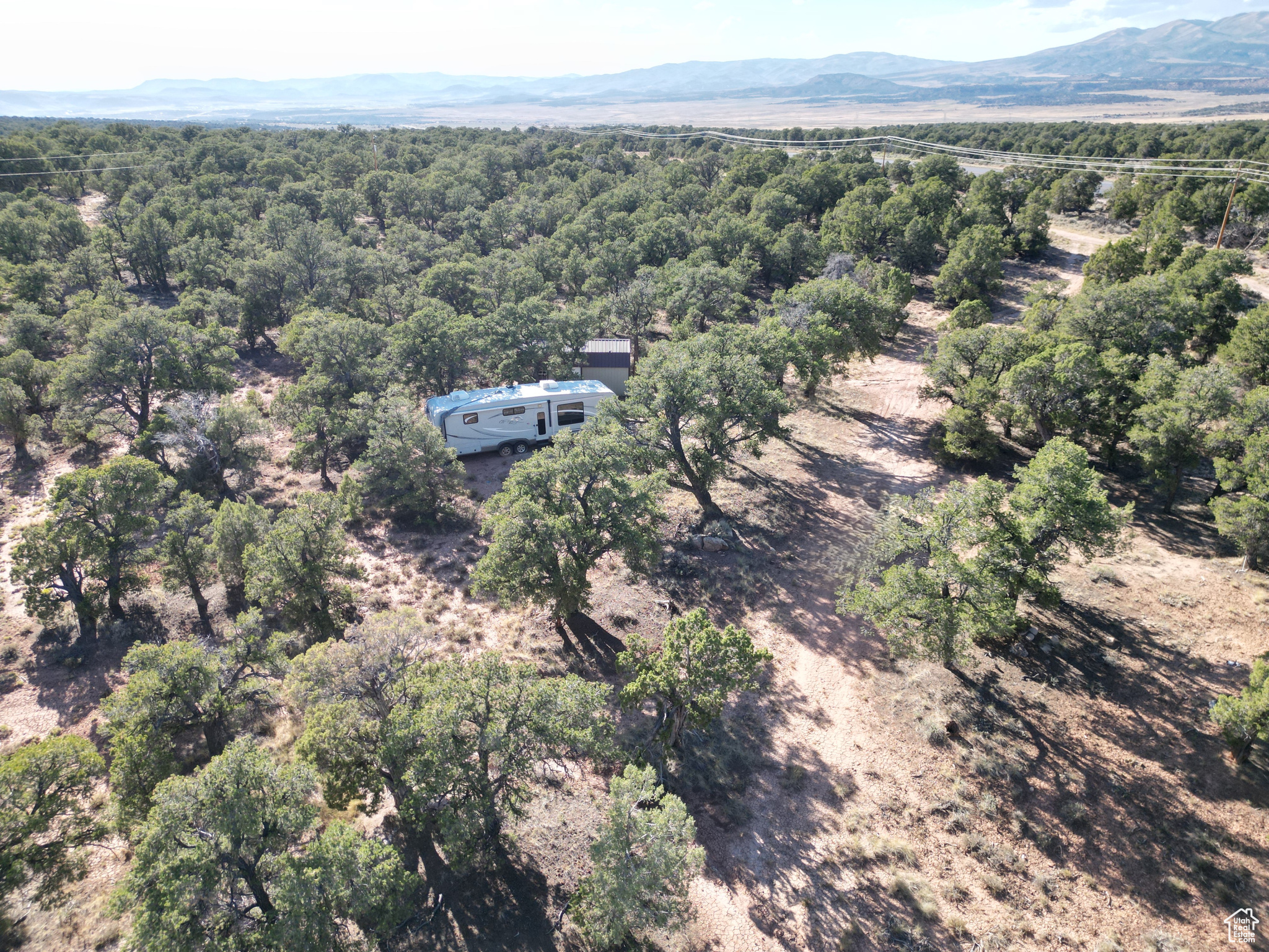 TABBY SHADOWS - Land