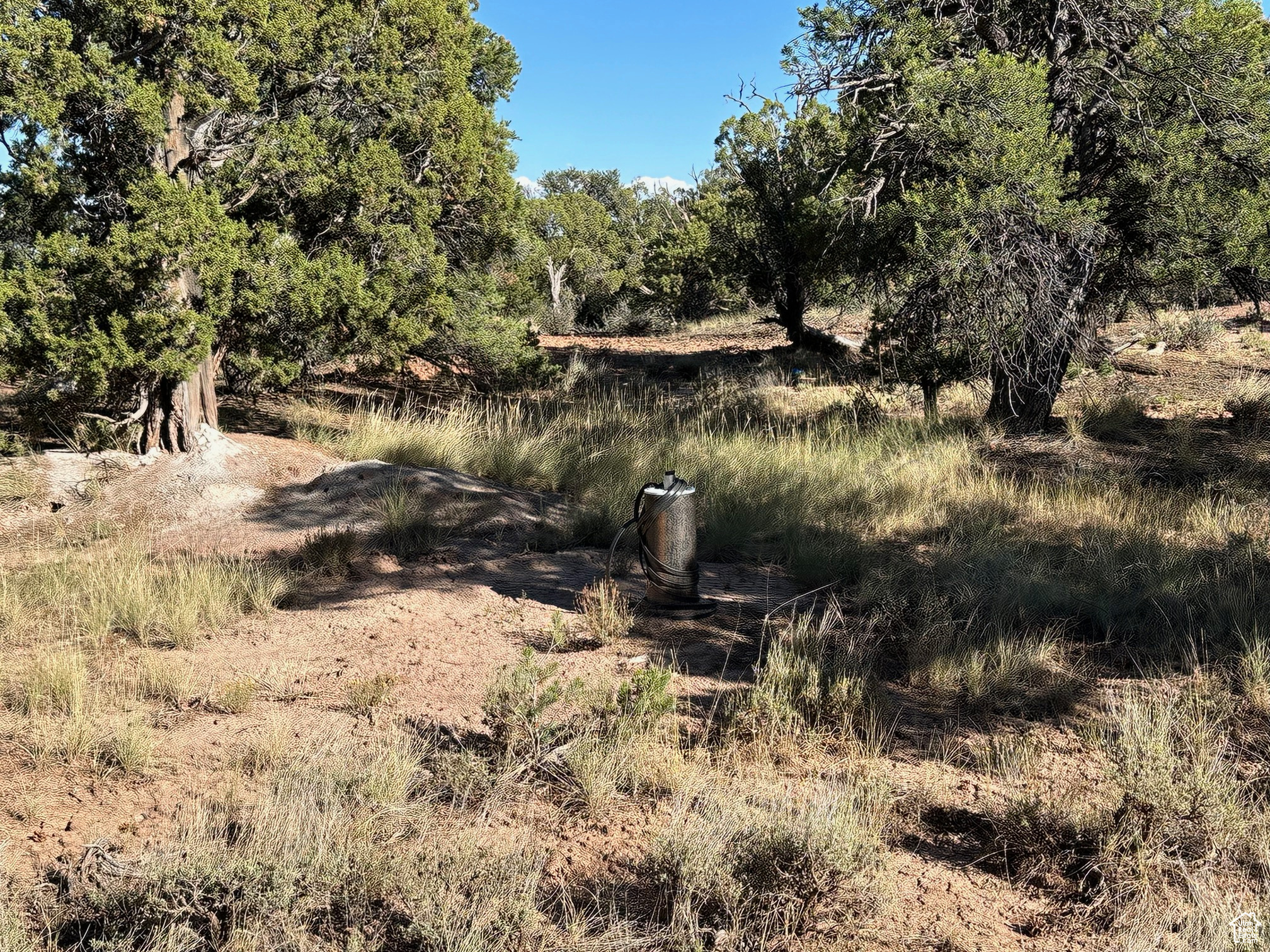 TABBY SHADOWS - Land