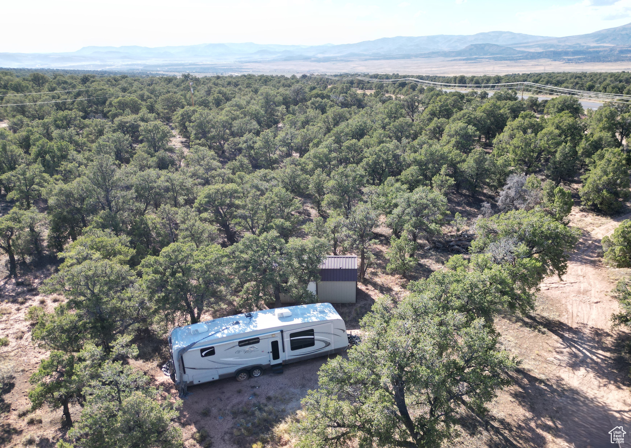 TABBY SHADOWS - Land