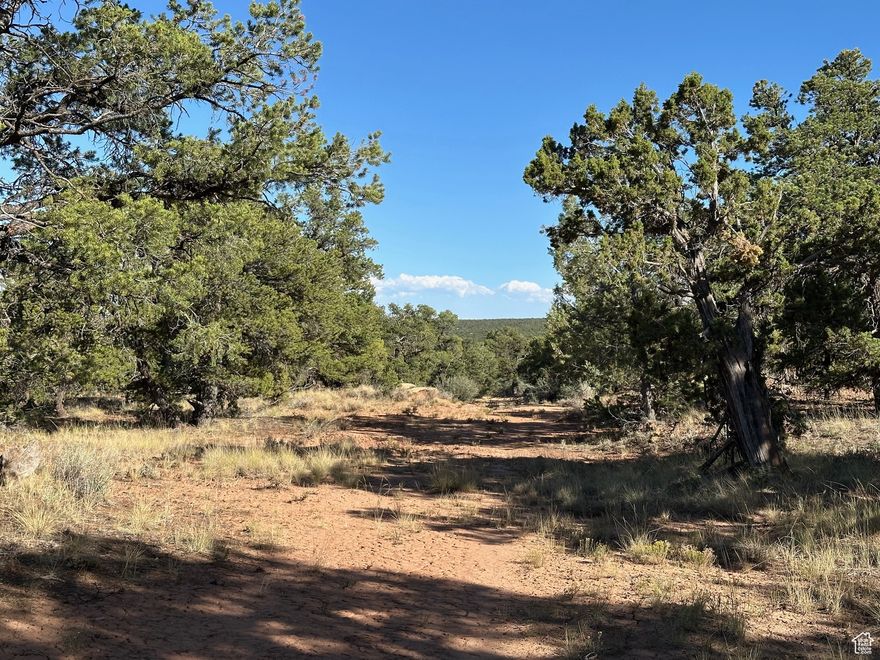 Discover your perfect weekend escape or future dream home site with this private, secluded lot nestled among mature pinyon pines. Conveniently located with easy access from the highway, that is maintained year-round. A stubbed-in well is already in place, helping you save on costs. Power is nearby approx. 30 feet from the lot. Buyer will need to obtain a septic permit and propane tank. Currently, there is a trailer and shed on the property that may be negotiated with the sale. Contact us for directions and to schedule a viewing!
