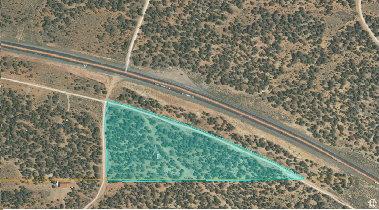 TABBY SHADOWS - Land