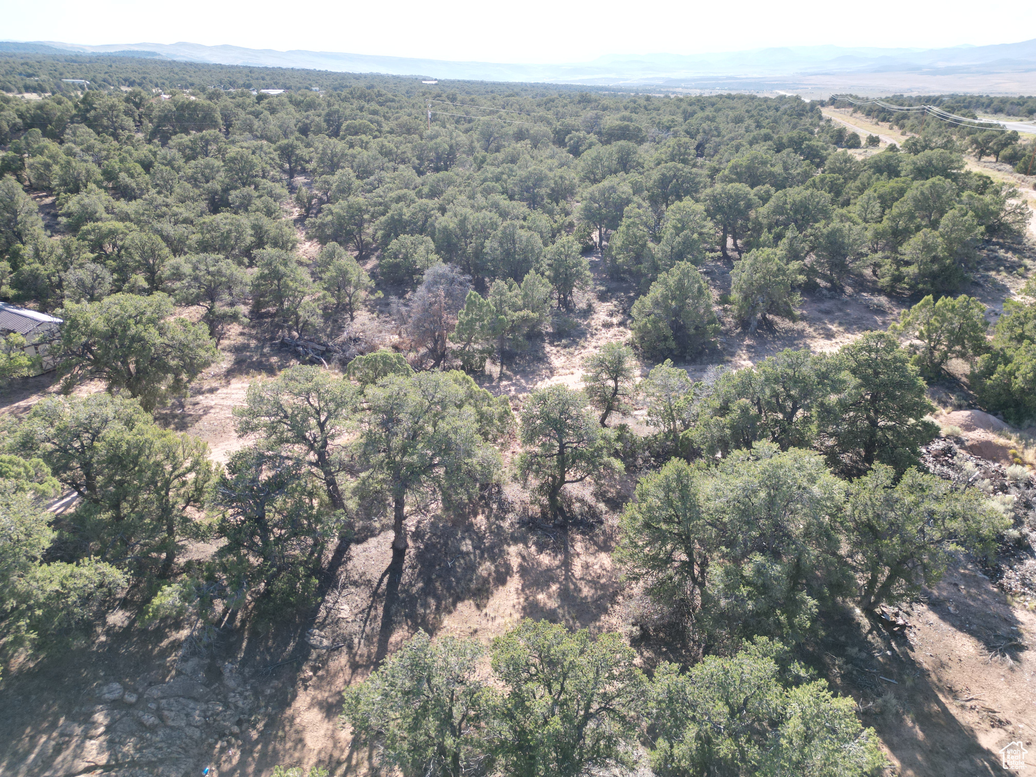 TABBY SHADOWS - Land