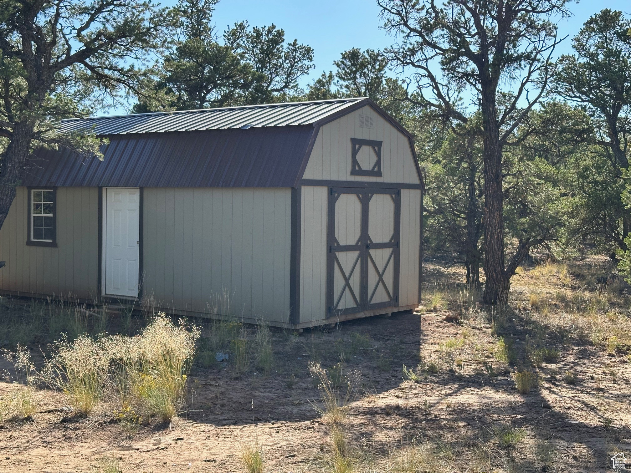 TABBY SHADOWS - Land