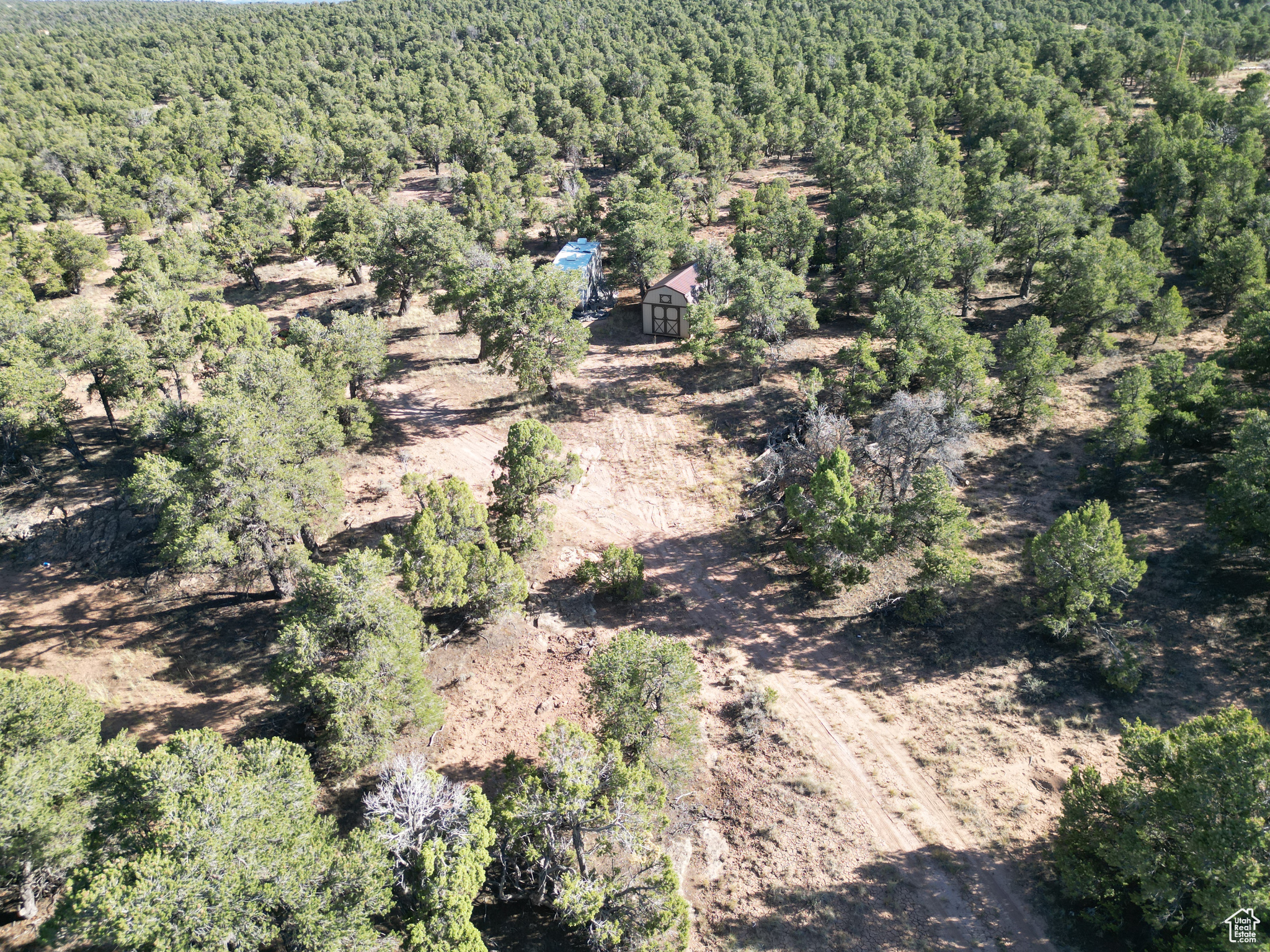 TABBY SHADOWS - Land