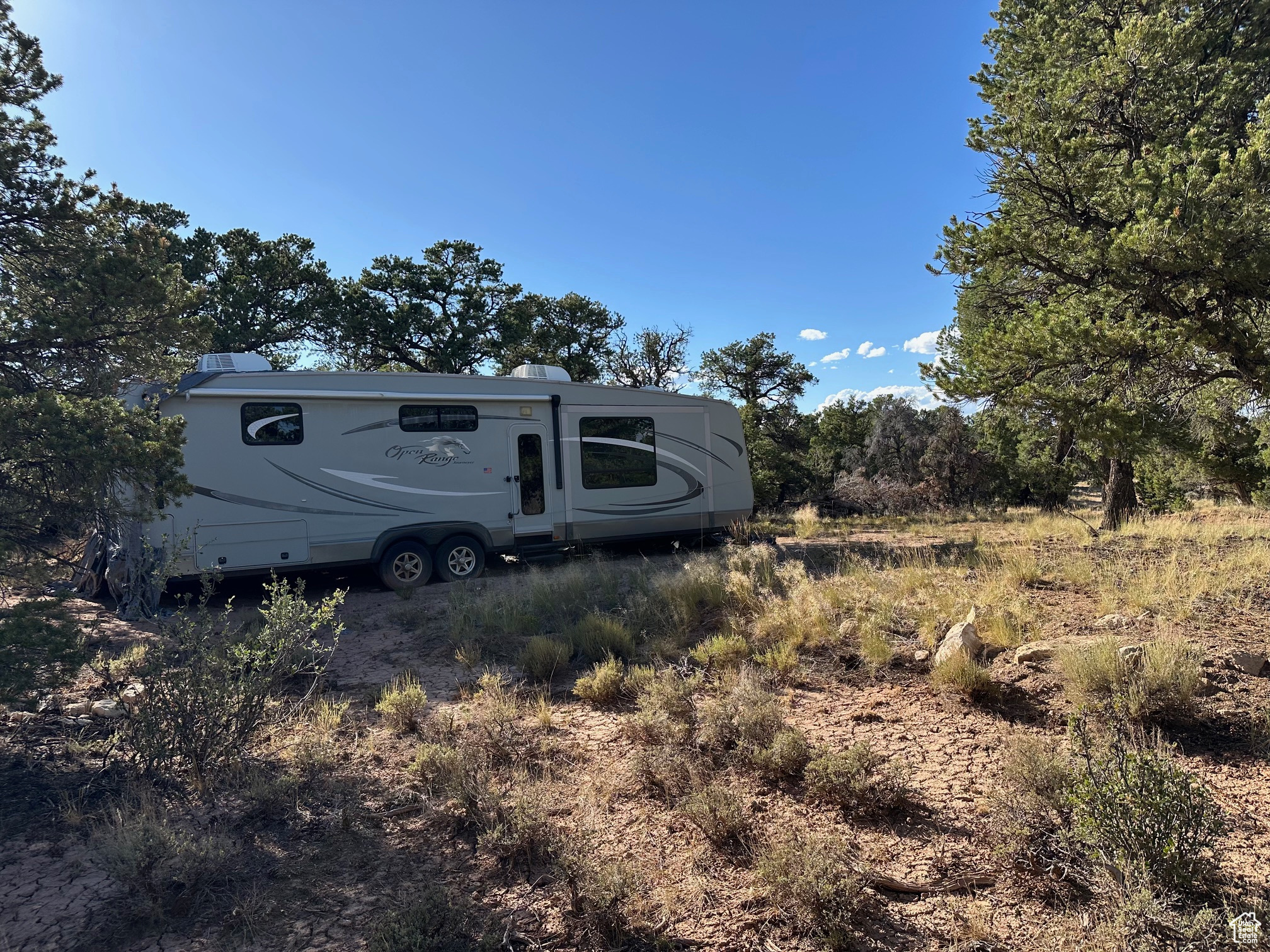 TABBY SHADOWS - Land