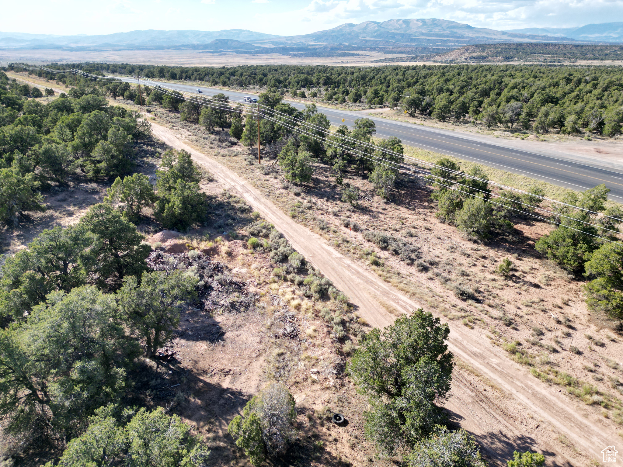 TABBY SHADOWS - Land