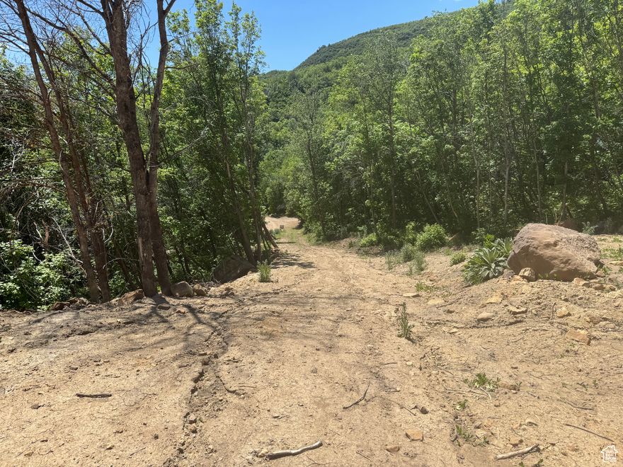 Beautiful mountain lot ready for your RV at the top end of Birch Creek at Skyline Mountain Resort. 7,500' elevation. Quiet, very little traffic, large RV area installed or build a cabin, 125' wide, 387' at it's deepest, goes uphill from front to back. Mountain views, wooded and you can hear the creek across the road. HOA fees are only $60 and gives you access to tennis courts, pavilions for gatherings, a pickle ball court, a swimming pool and a golf course! Owners receive a $60 punch-pass per year for golfing and swimming plus member pricing. This area has so many options for outdoor activities including hiking, camping and four wheeling. Utilities: Sewer not available- septic tank that would need to be installed if desired. Water is hauled in from a central filling station about 1.5 miles away. Power is available with a connection fee.