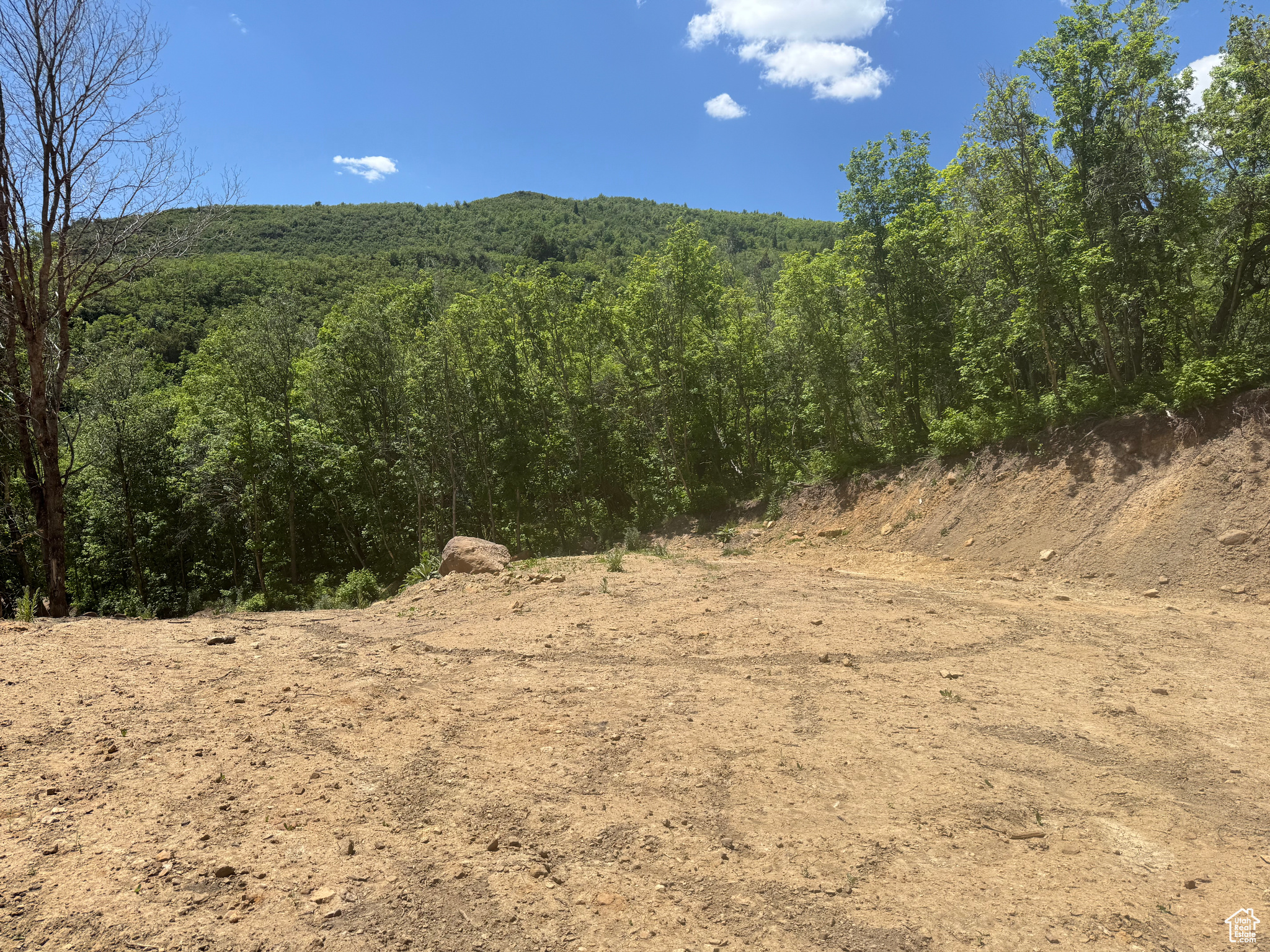 SKYLINE MTN - Land