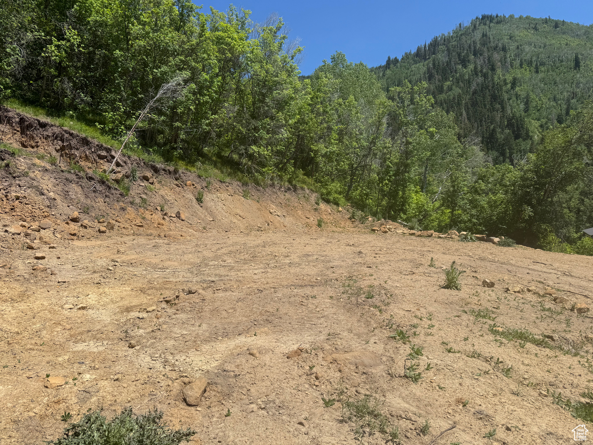 SKYLINE MTN - Land