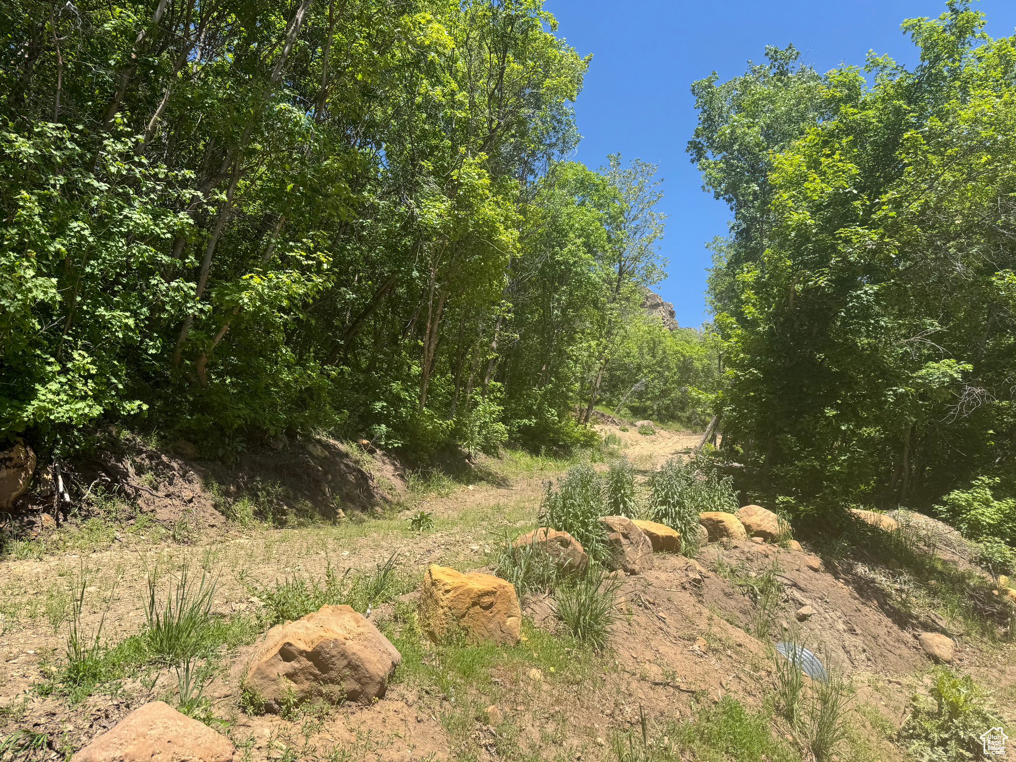 SKYLINE MTN - Land