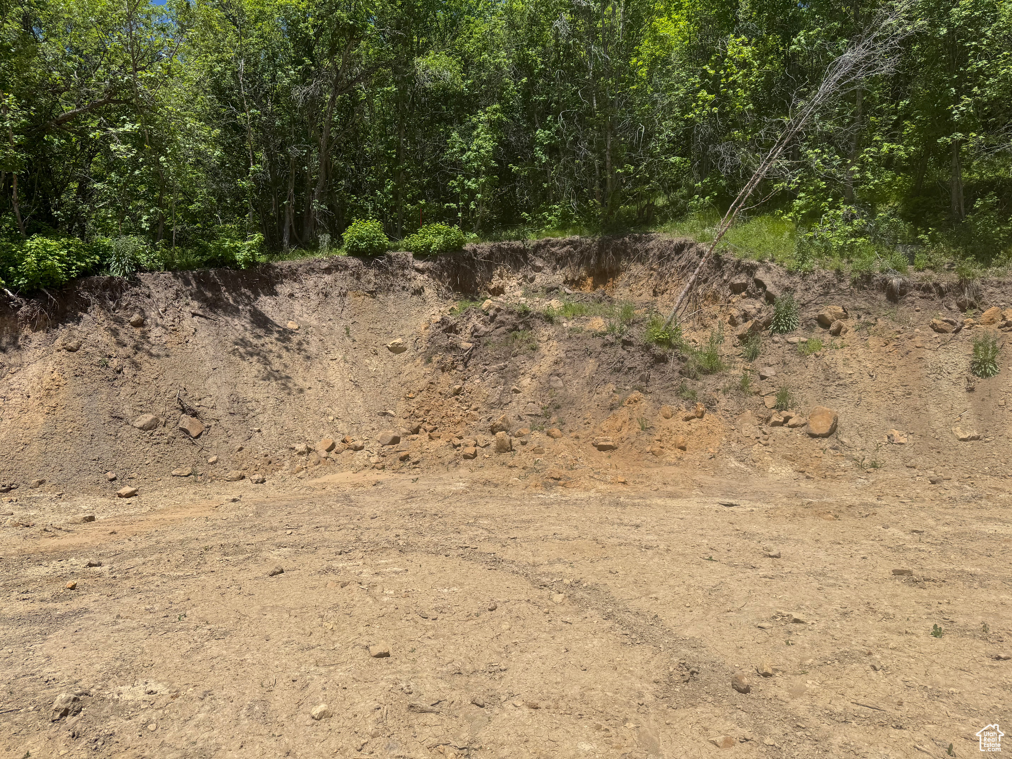 SKYLINE MTN - Land
