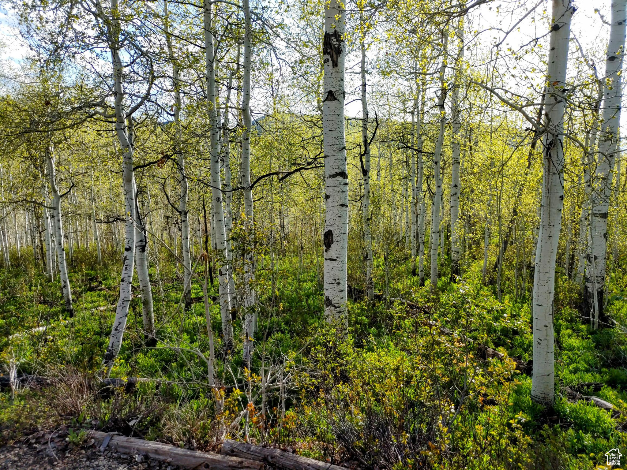 3400 S Blue Spruce Dr #1707, Heber City, Utah image 7