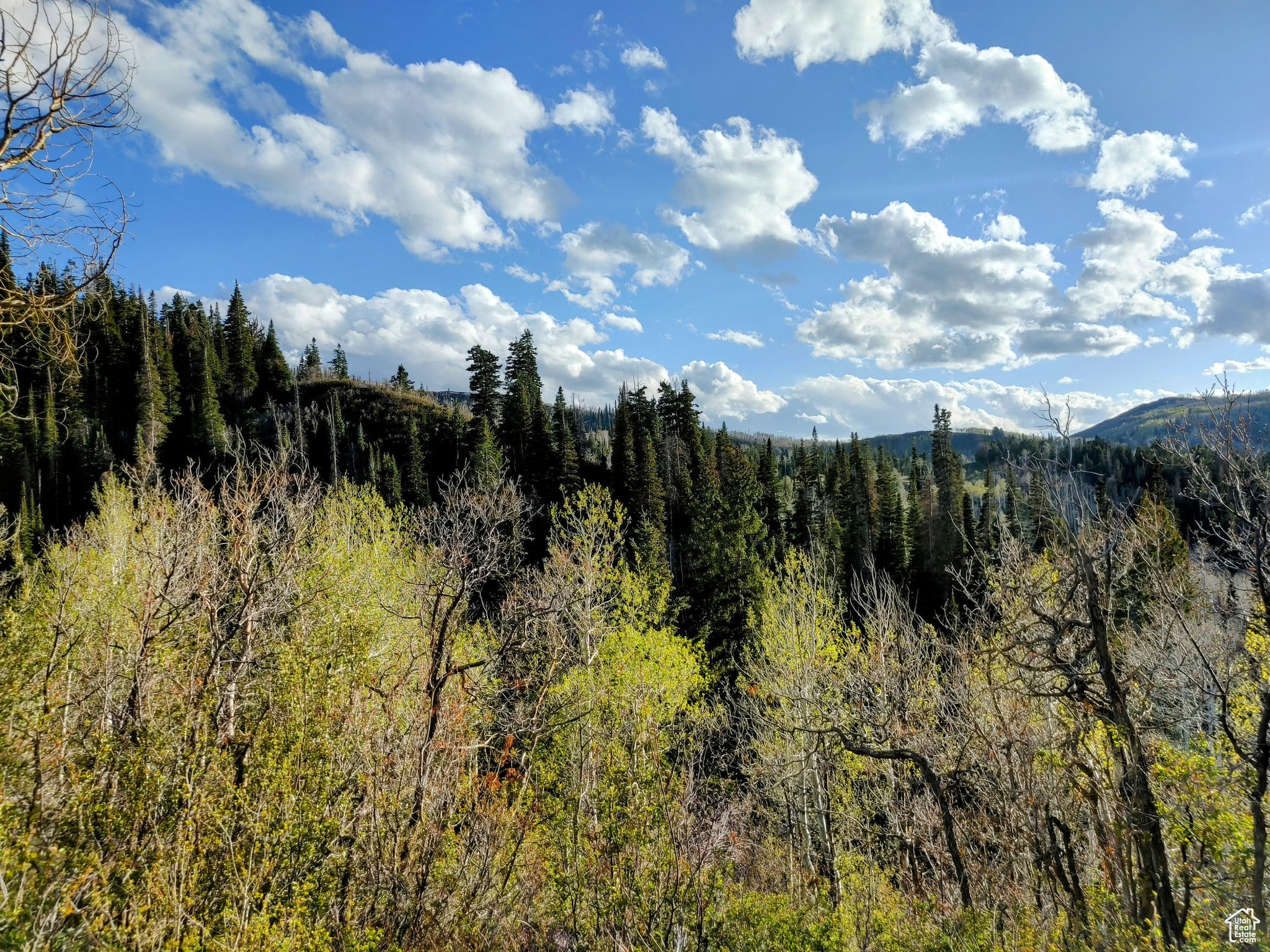 3400 S Blue Spruce Dr #1707, Heber City, Utah image 2
