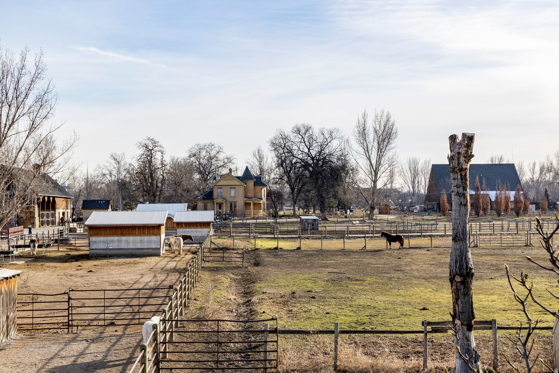 COTTONWOOD AT WHEELER FARM - Residential