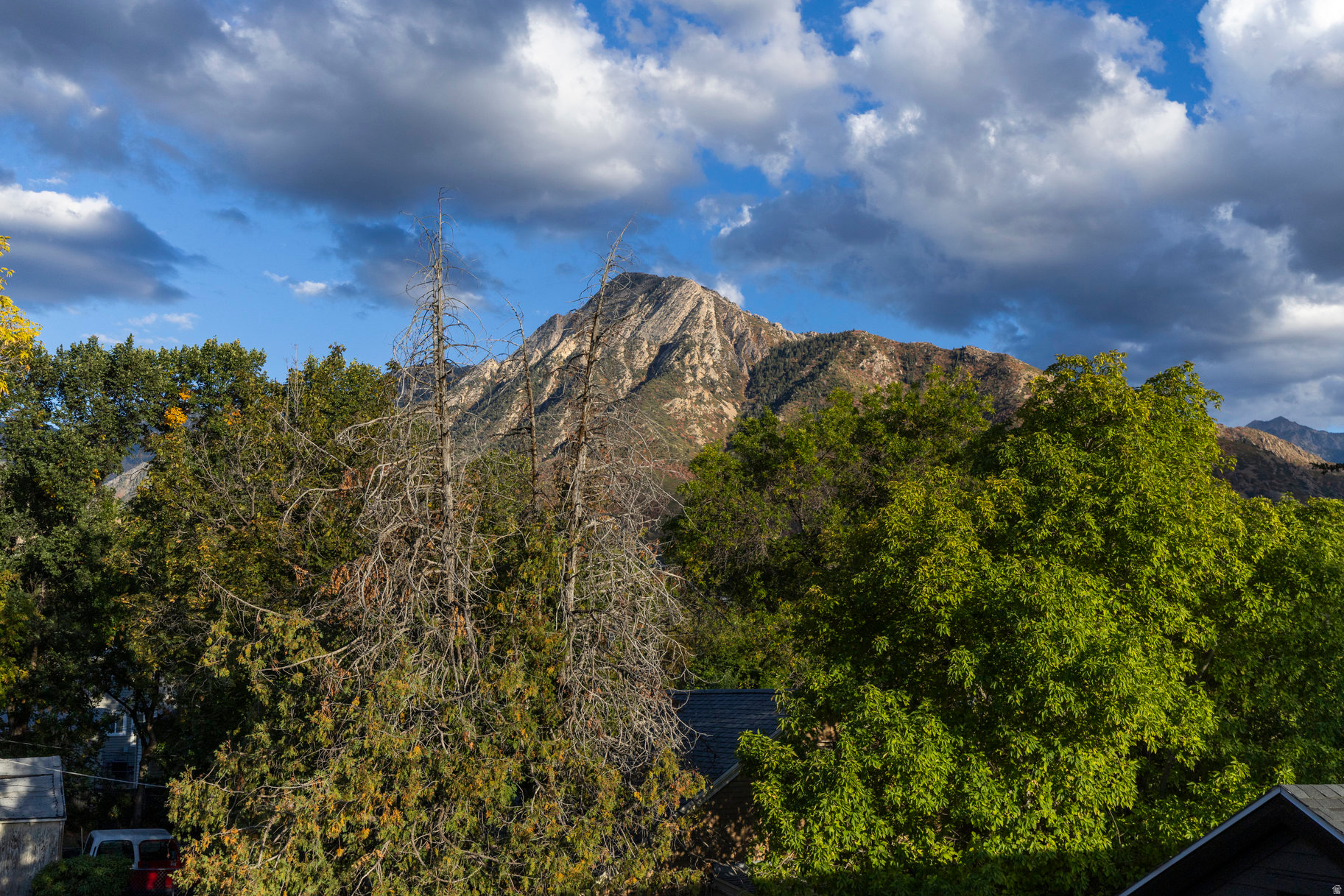 HOLLADAY PARK LANE - Residential