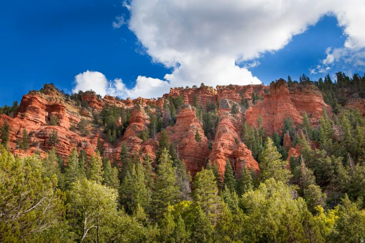 GIANT STEPS CONDOMINIUMS - Residential