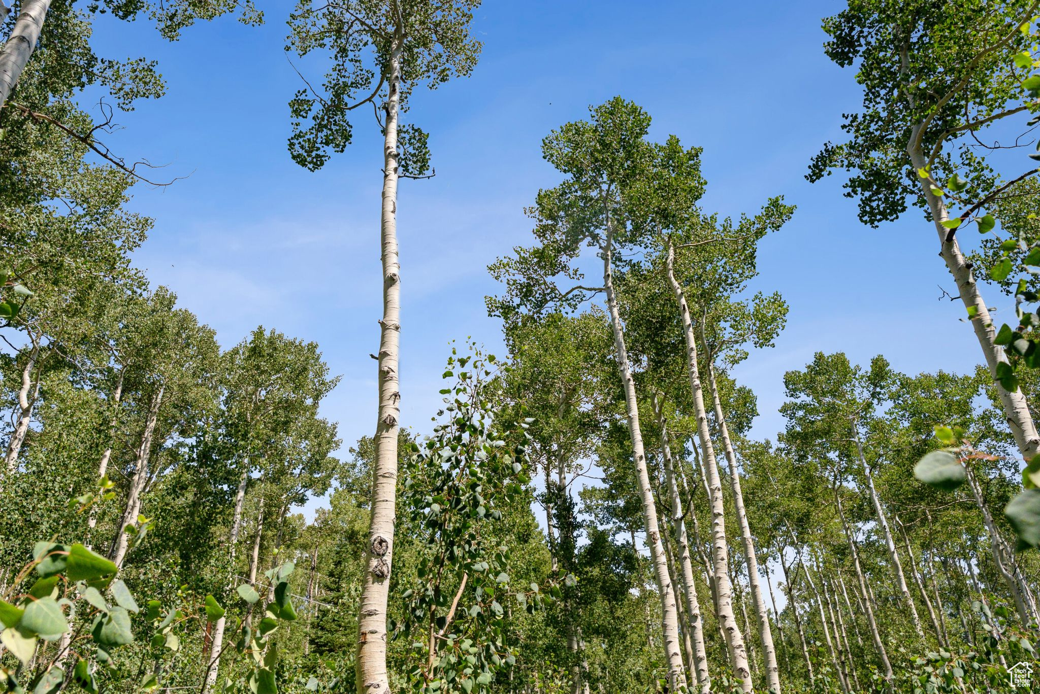 BRIGHTON ESTATES - Land