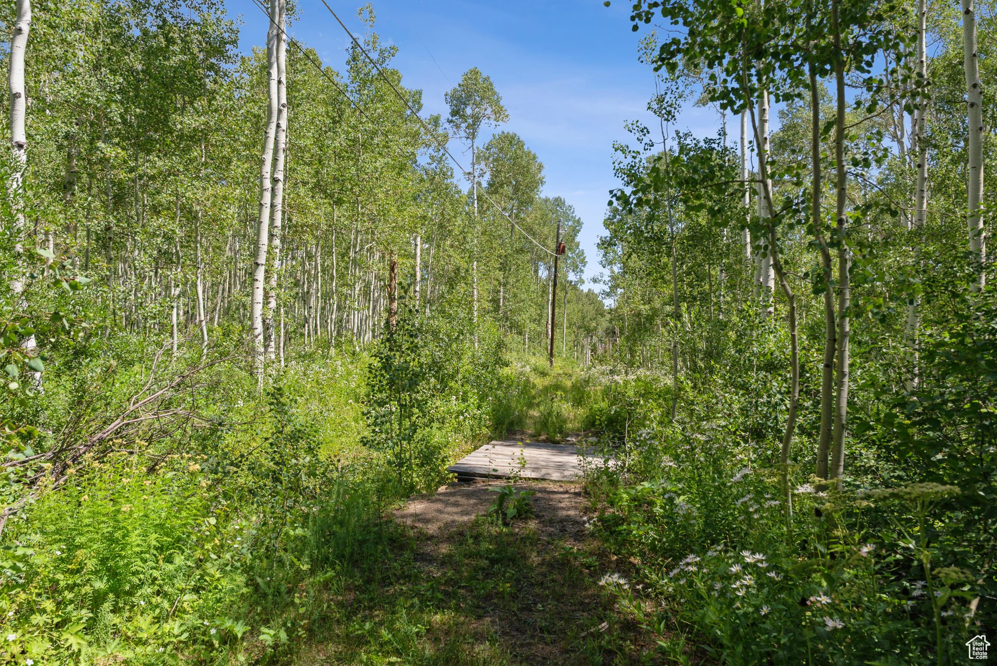 BRIGHTON ESTATES - Land