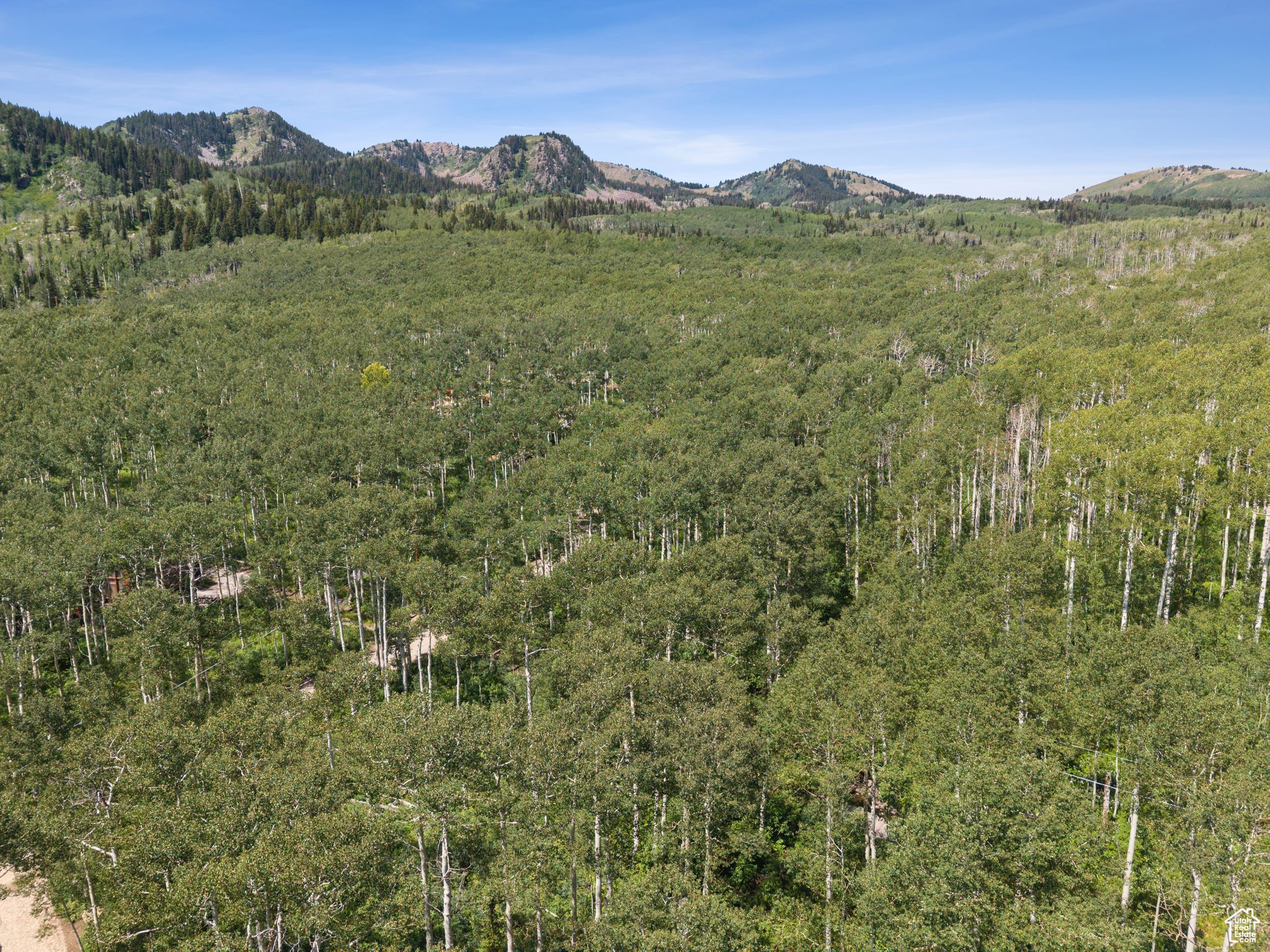 BRIGHTON ESTATES - Land